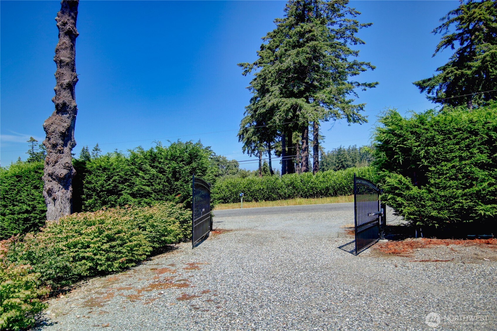 12370 Persons Road Property Photo 5