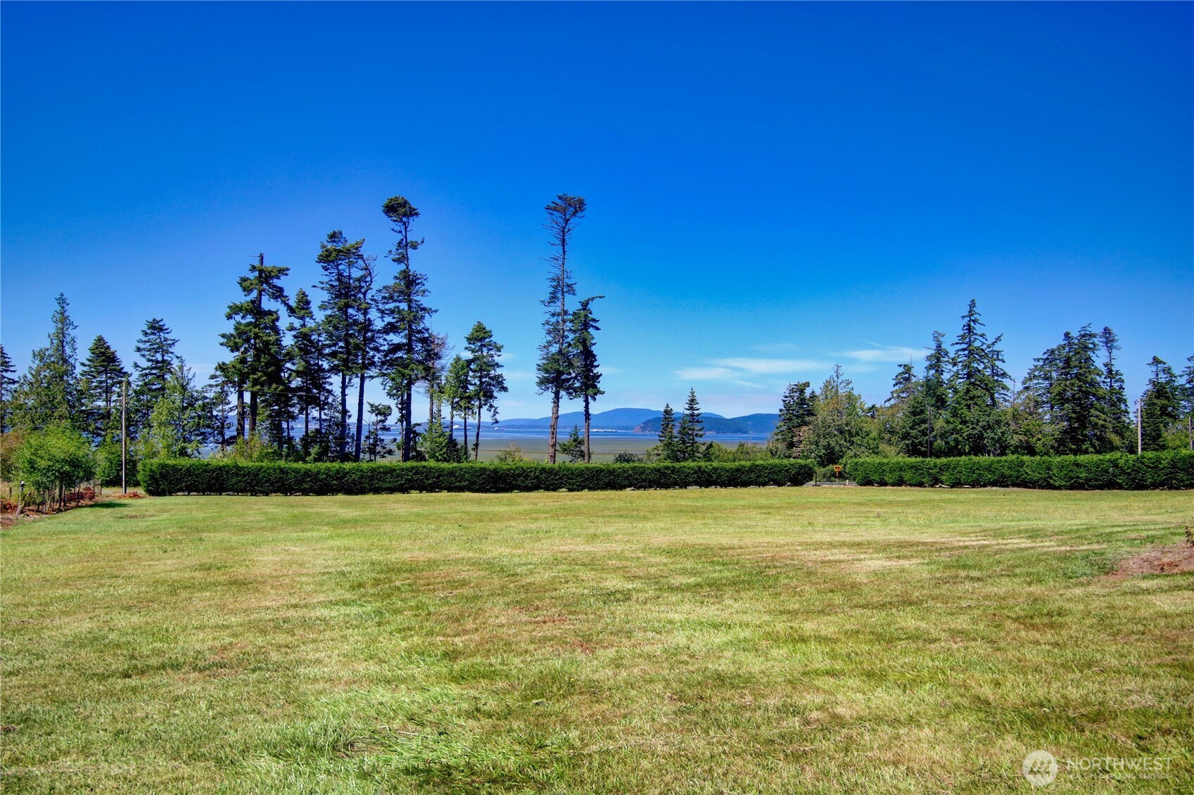 12370 Persons Road Property Photo 38