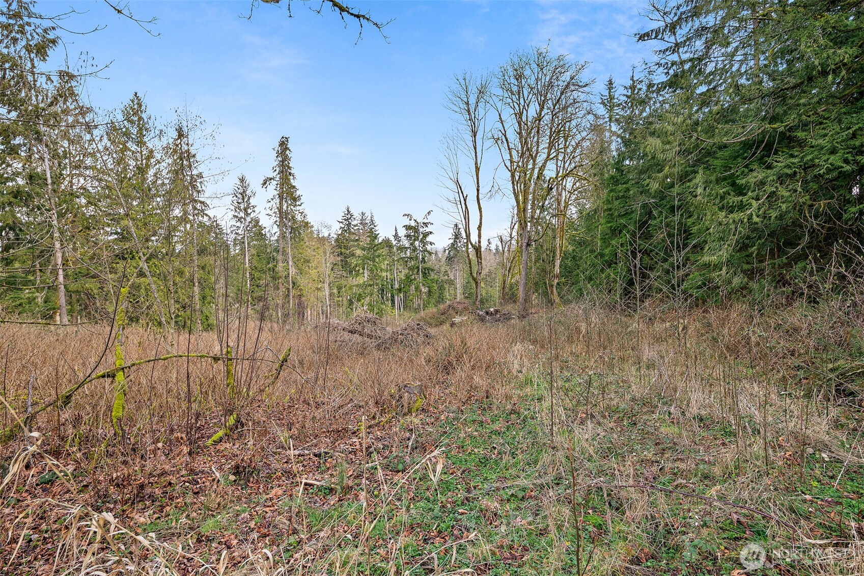 3211 103rd Avenue Property Photo 19