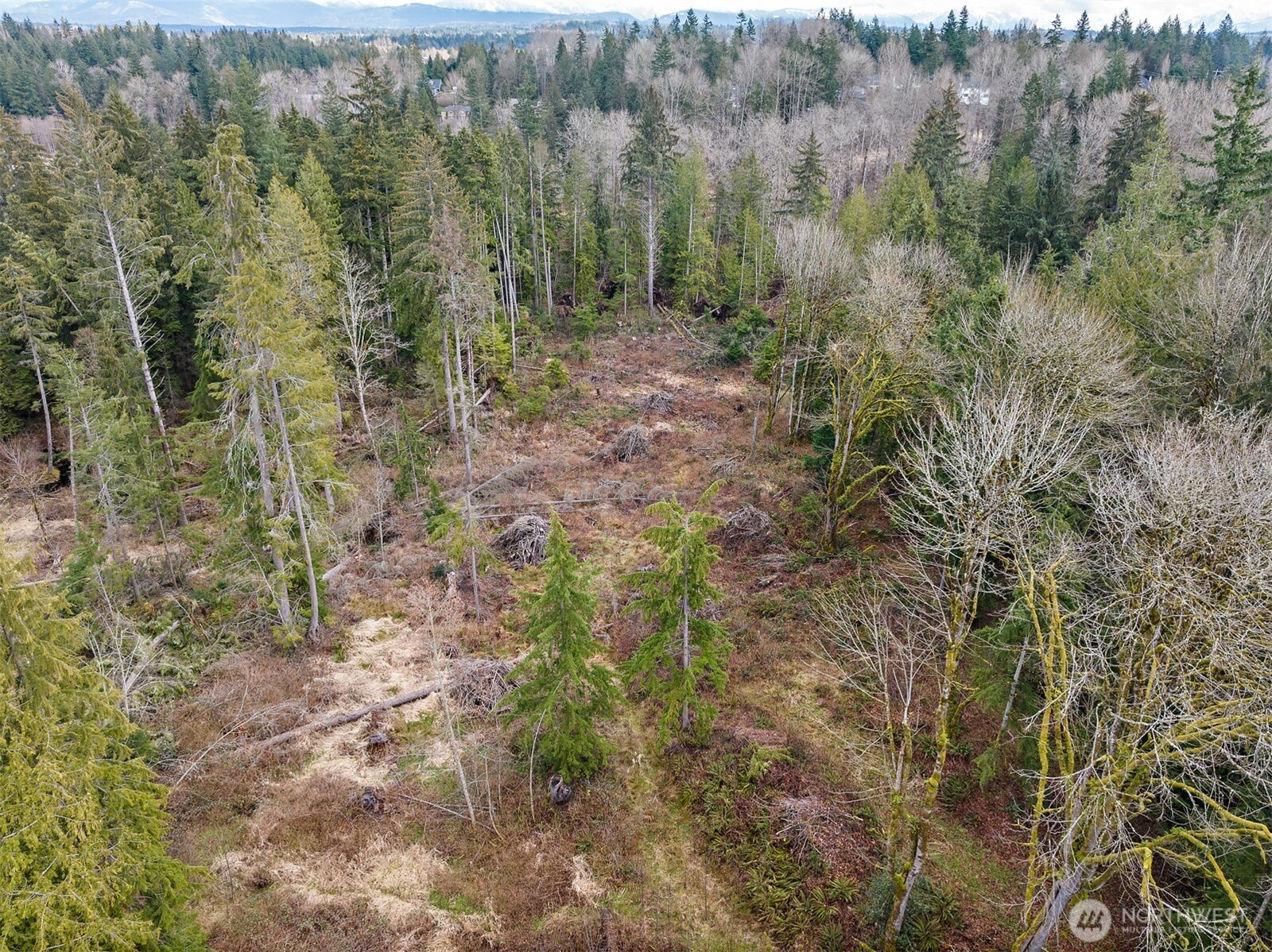 3211 103rd Avenue Property Photo 20