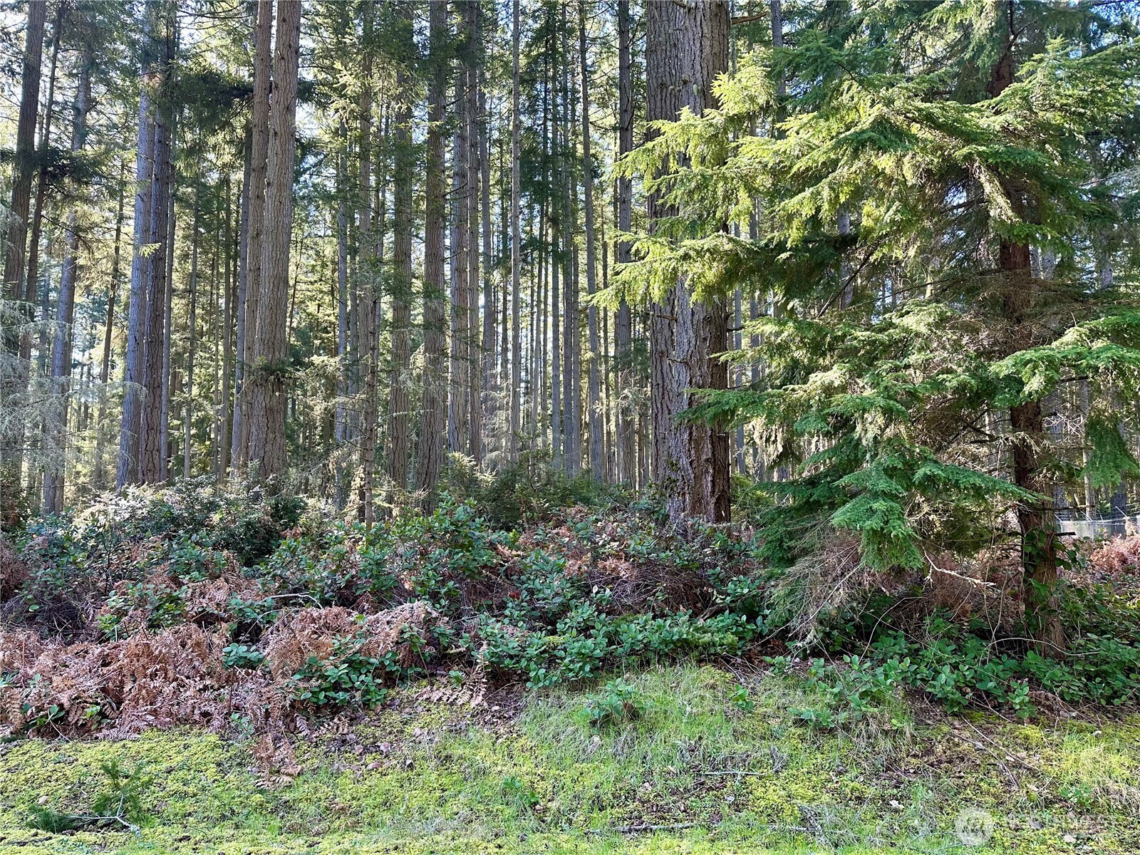 12910 98th Street Property Photo 2