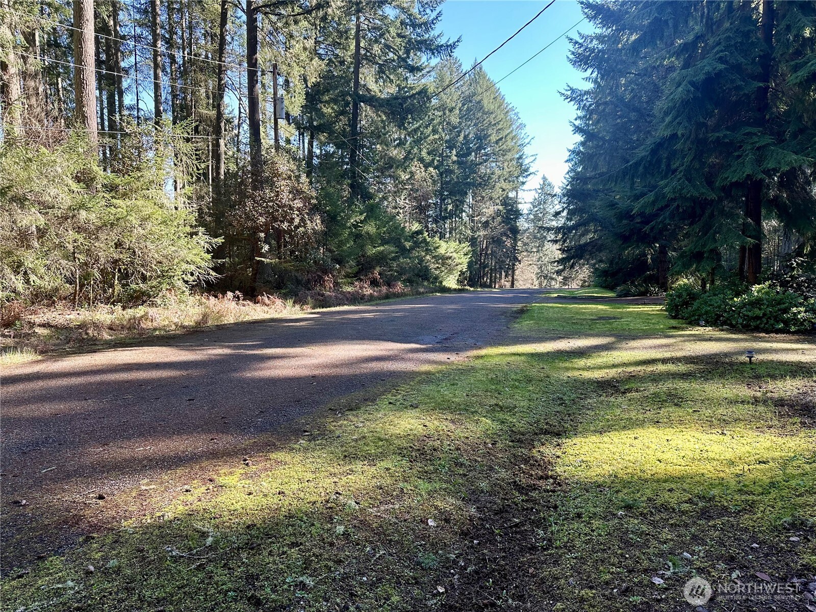 12910 98th Street Property Photo 6