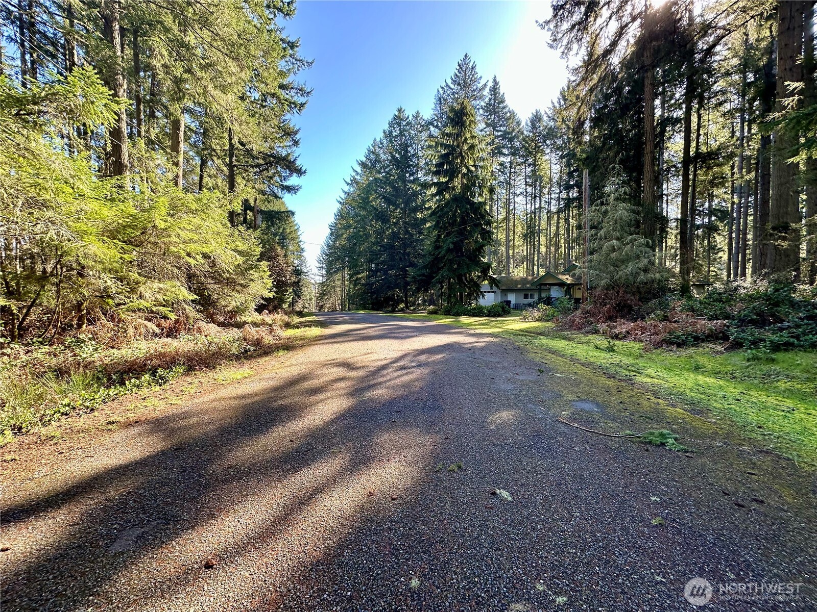 12910 98th Street Property Photo 7