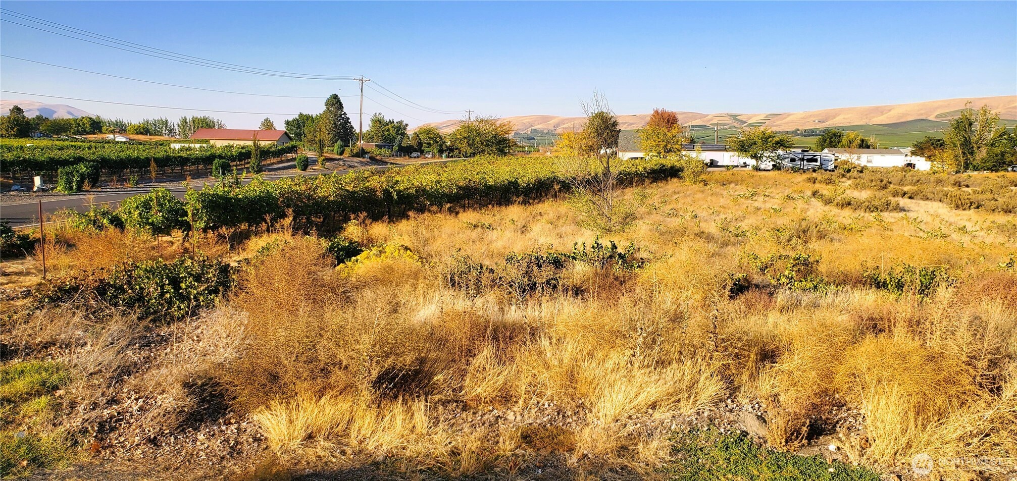 20906 363 Prne Property Photo 9