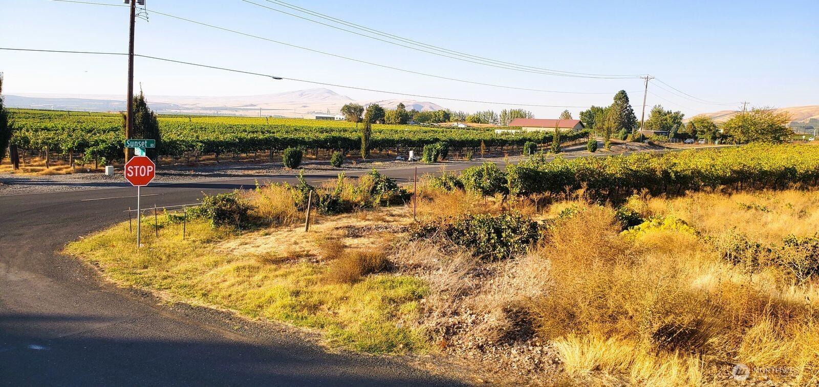 20906 363 Prne Property Photo 10
