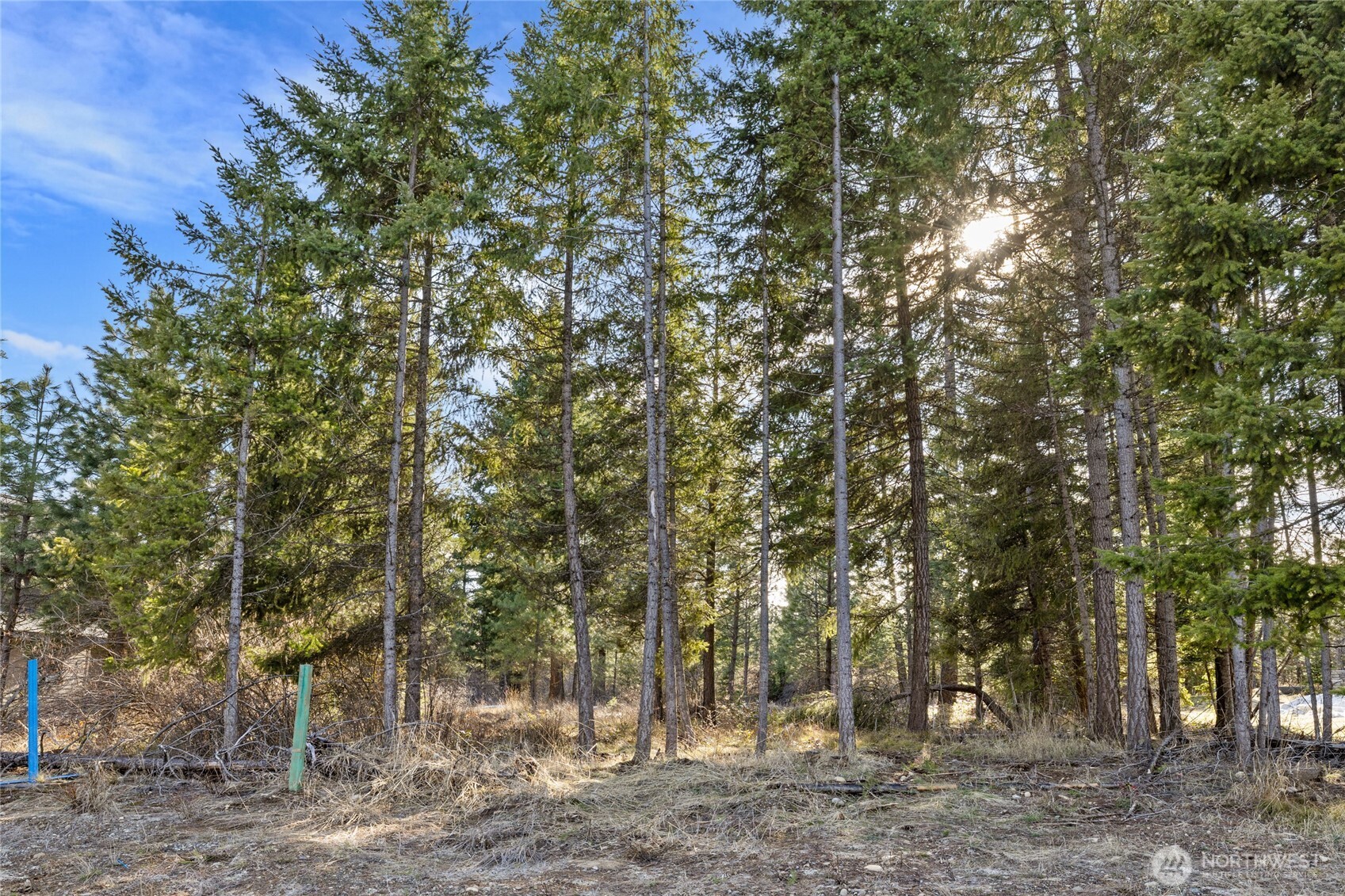 5 Kokanee Loop Property Photo 4