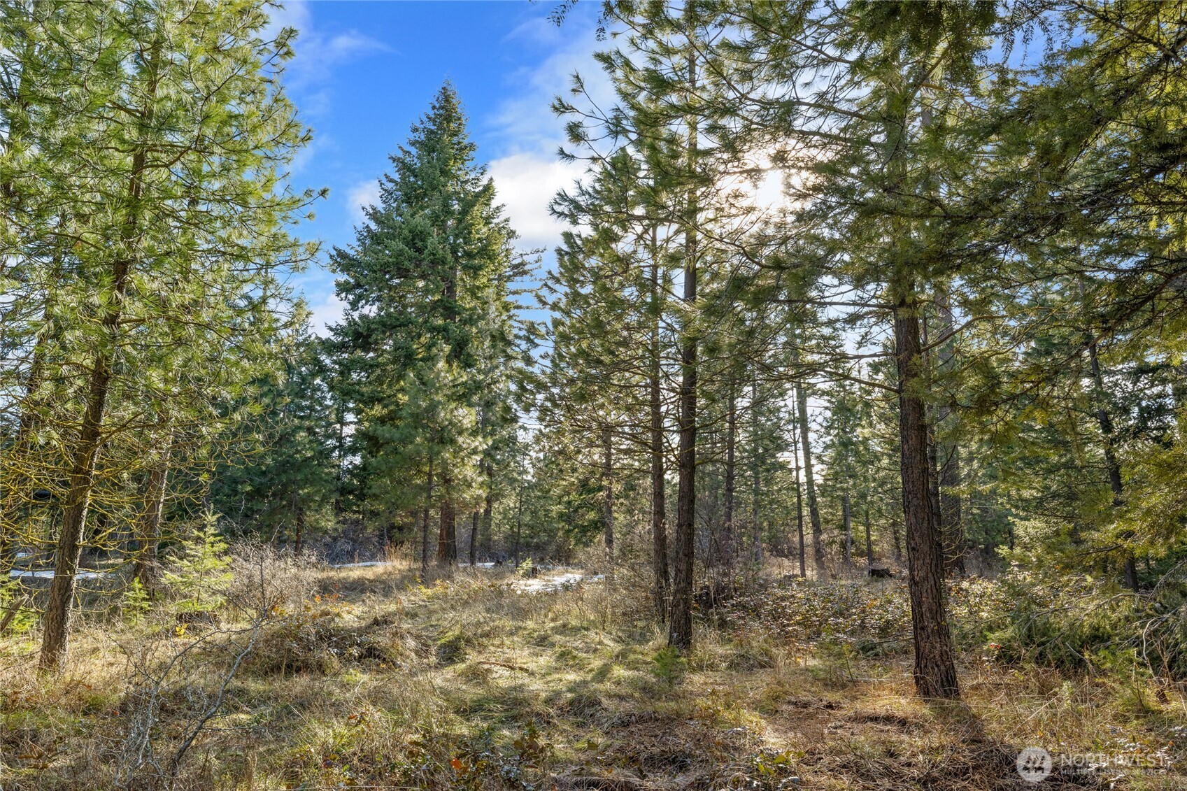 5 Kokanee Loop Property Photo 7