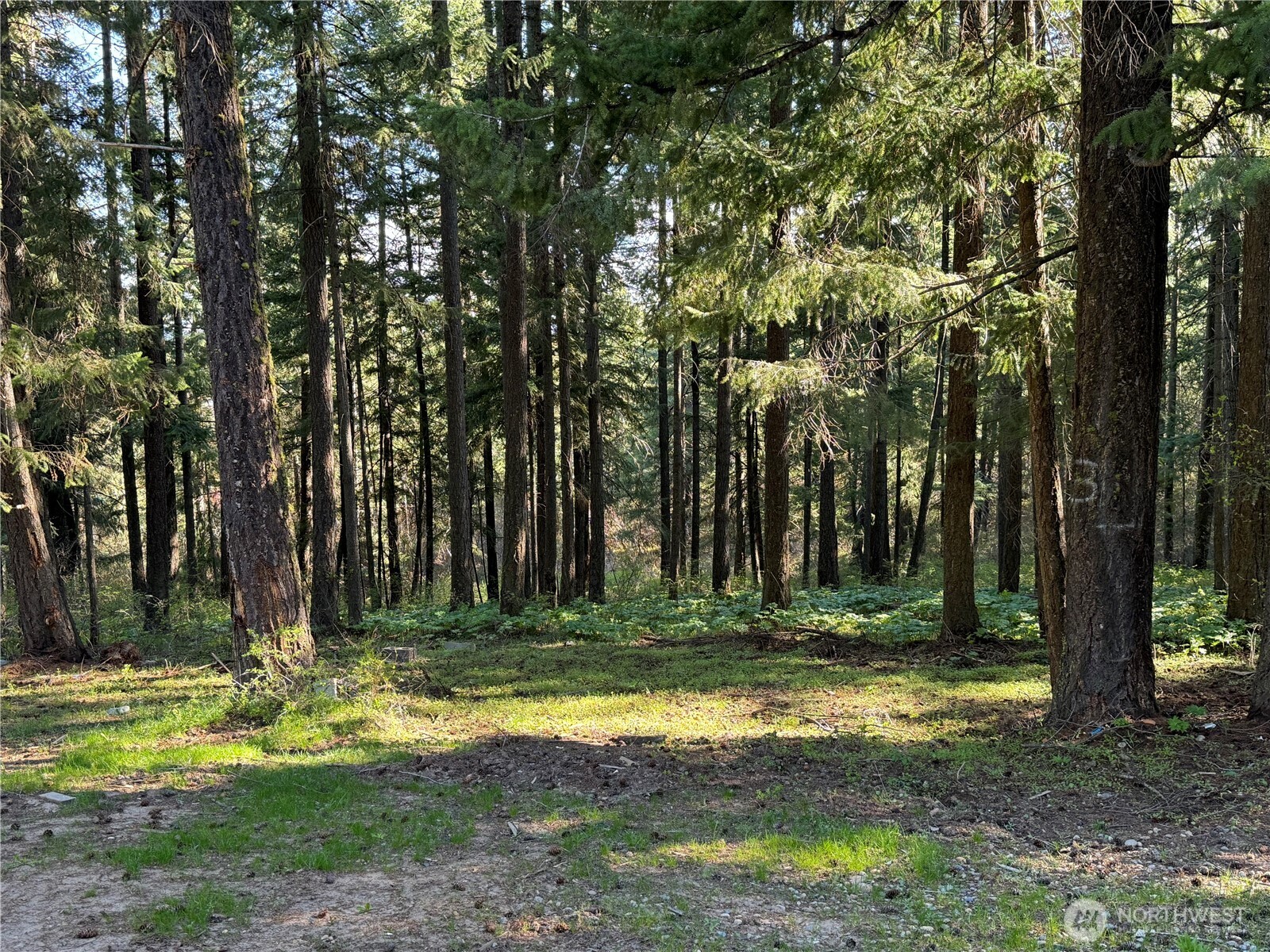 243 Bull Elk Road Property Photo 4