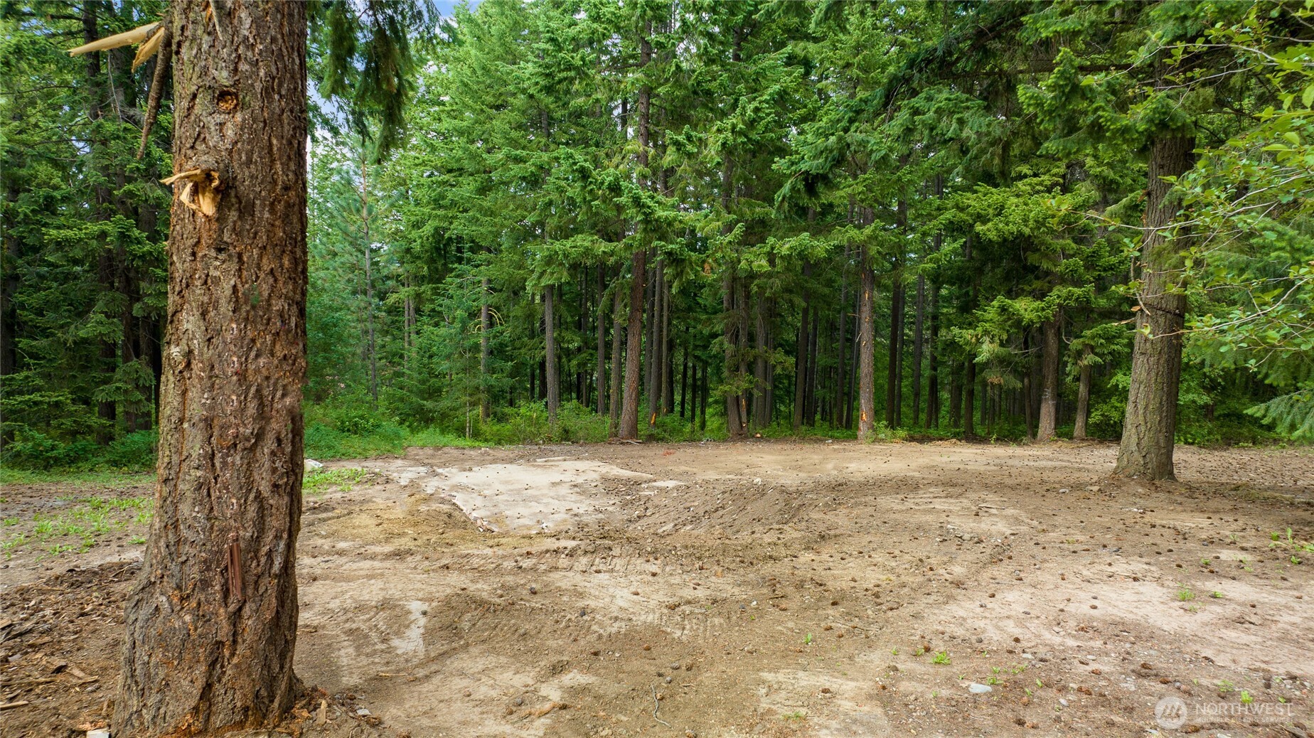 243 Bull Elk Road Property Photo 13