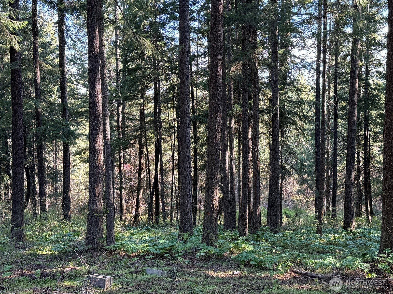 243 Bull Elk Road Property Photo 15