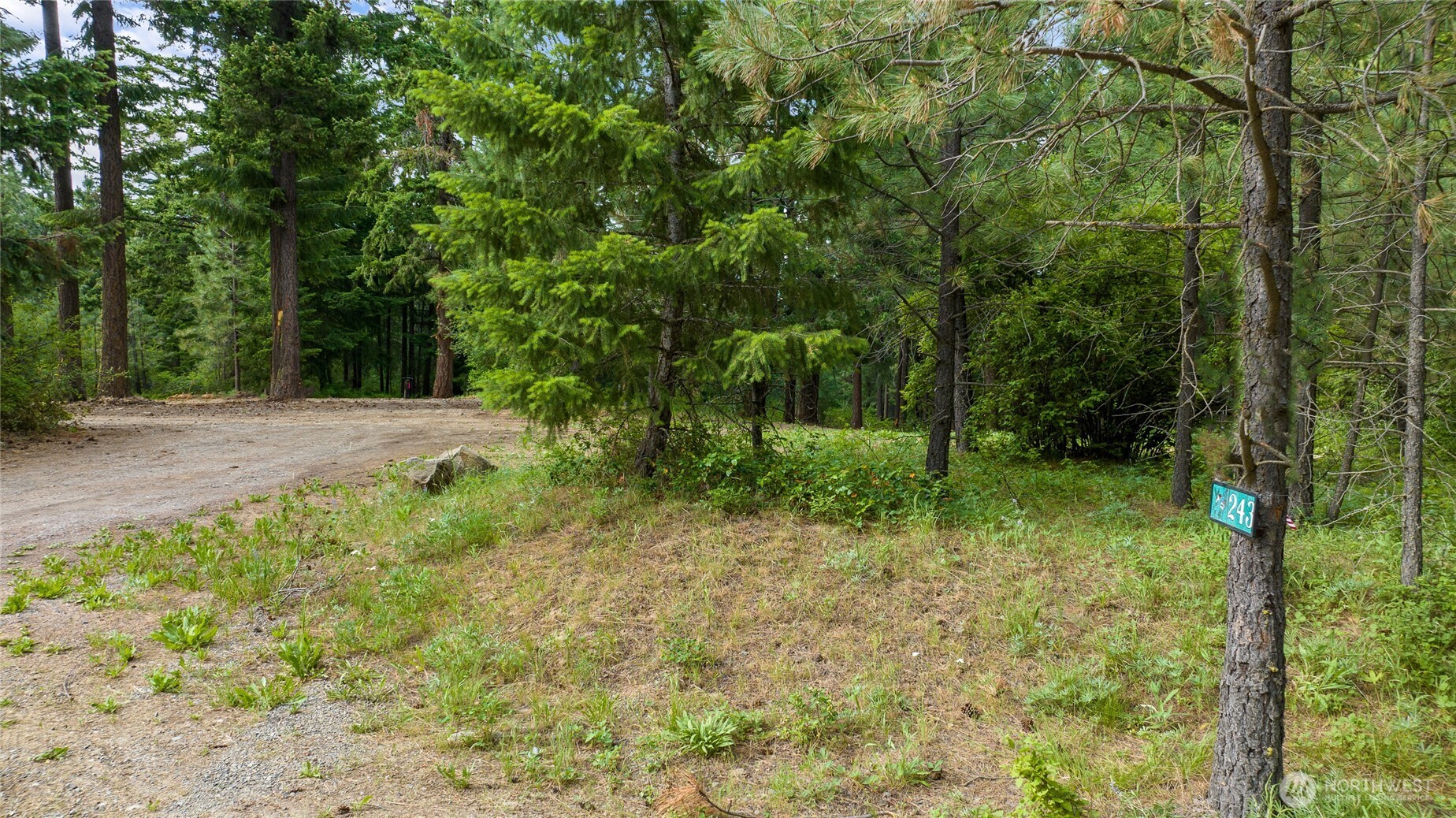 243 Bull Elk Road Property Photo 18
