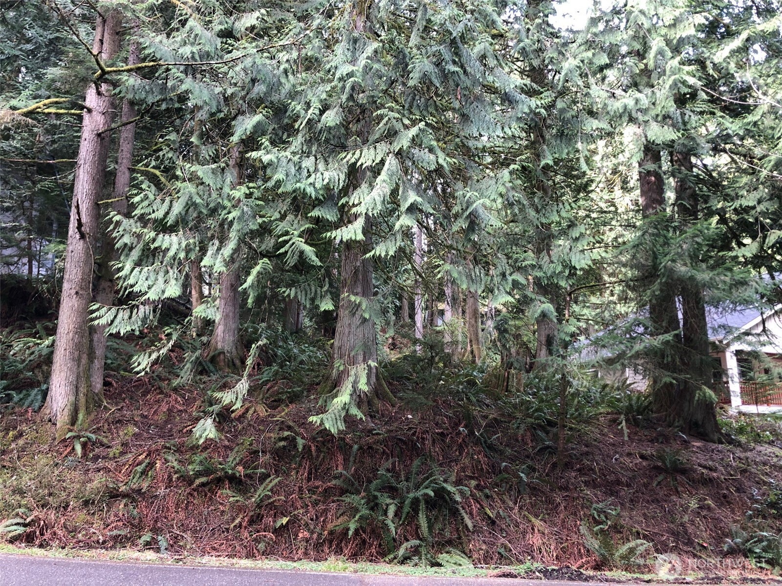 26 Jasper Ridge Lane Property Photo 1