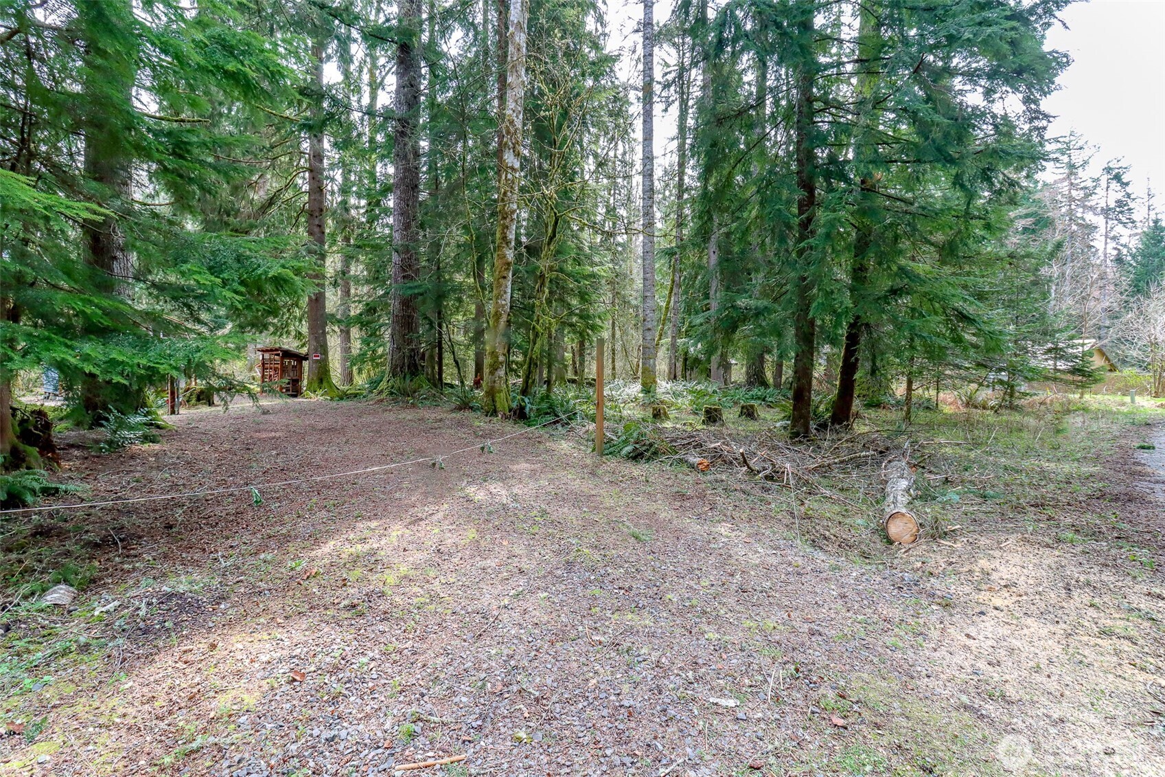 55311 315th Avenue Property Photo 4