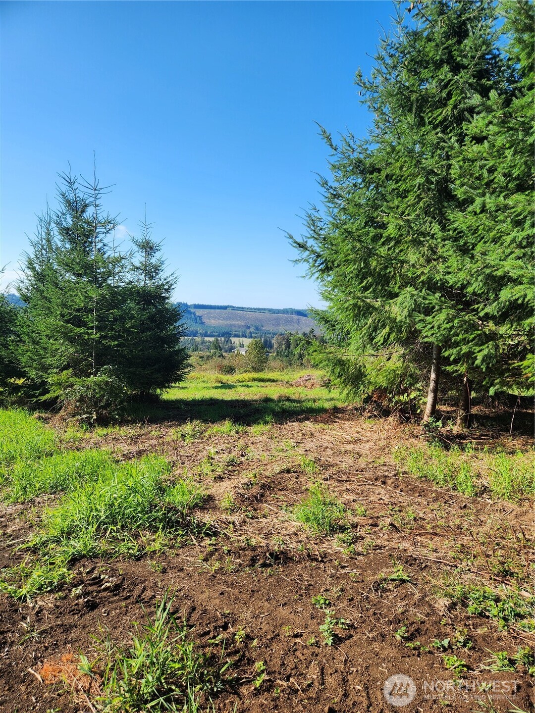 171 Starlight Drive, Lot 1 Property Photo 5