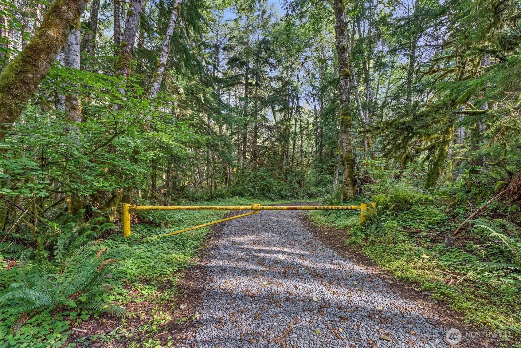 1 Skate Creek Road Property Photo 20