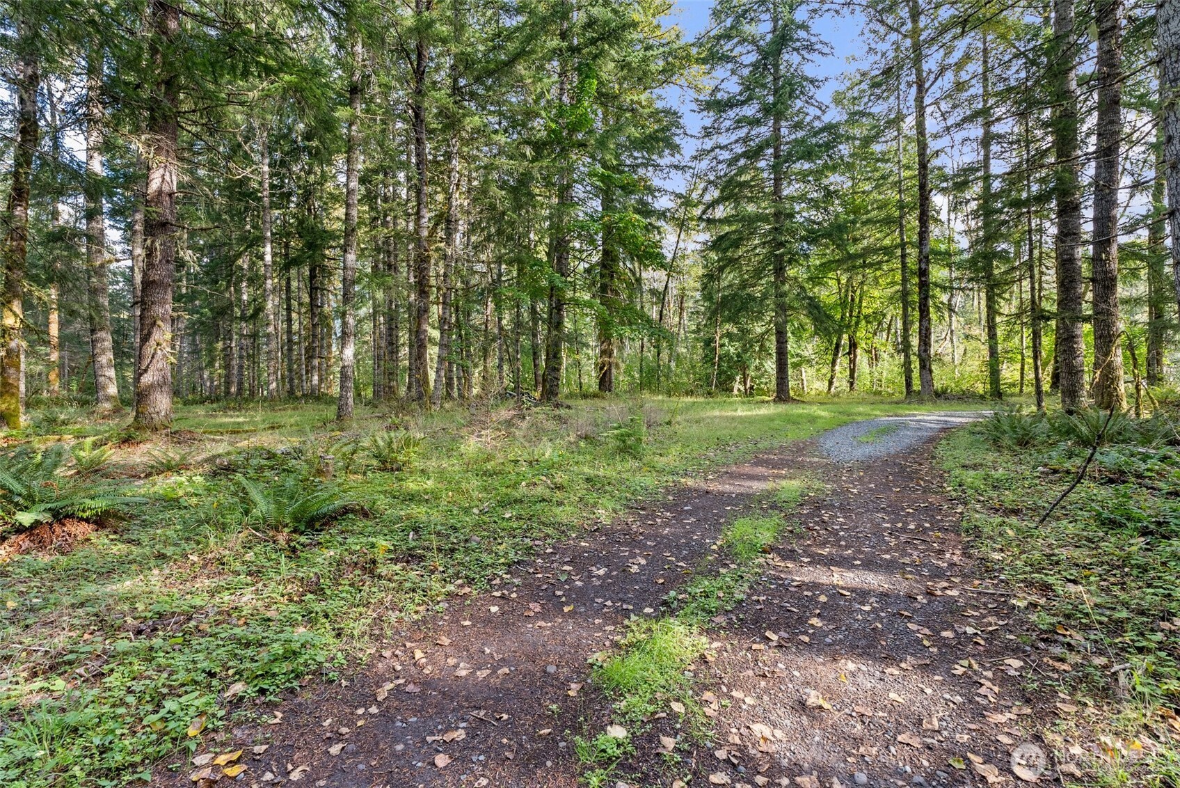 1 Skate Creek Road Property Photo 22