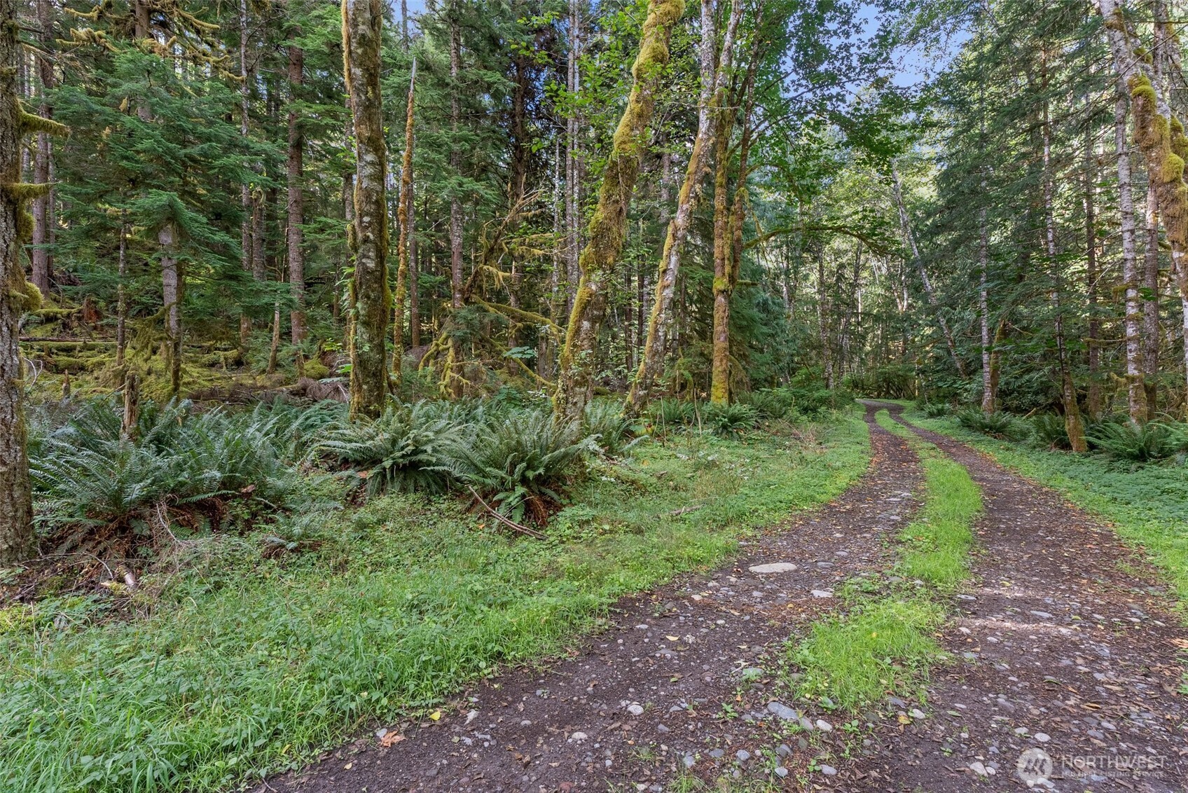 1 Skate Creek Road Property Photo 23