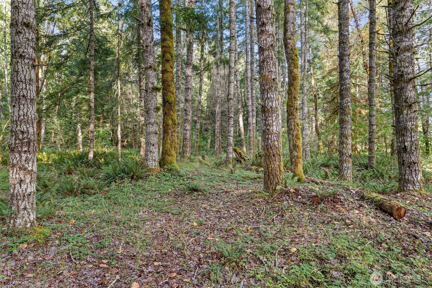 1 Skate Creek Road Property Photo 25