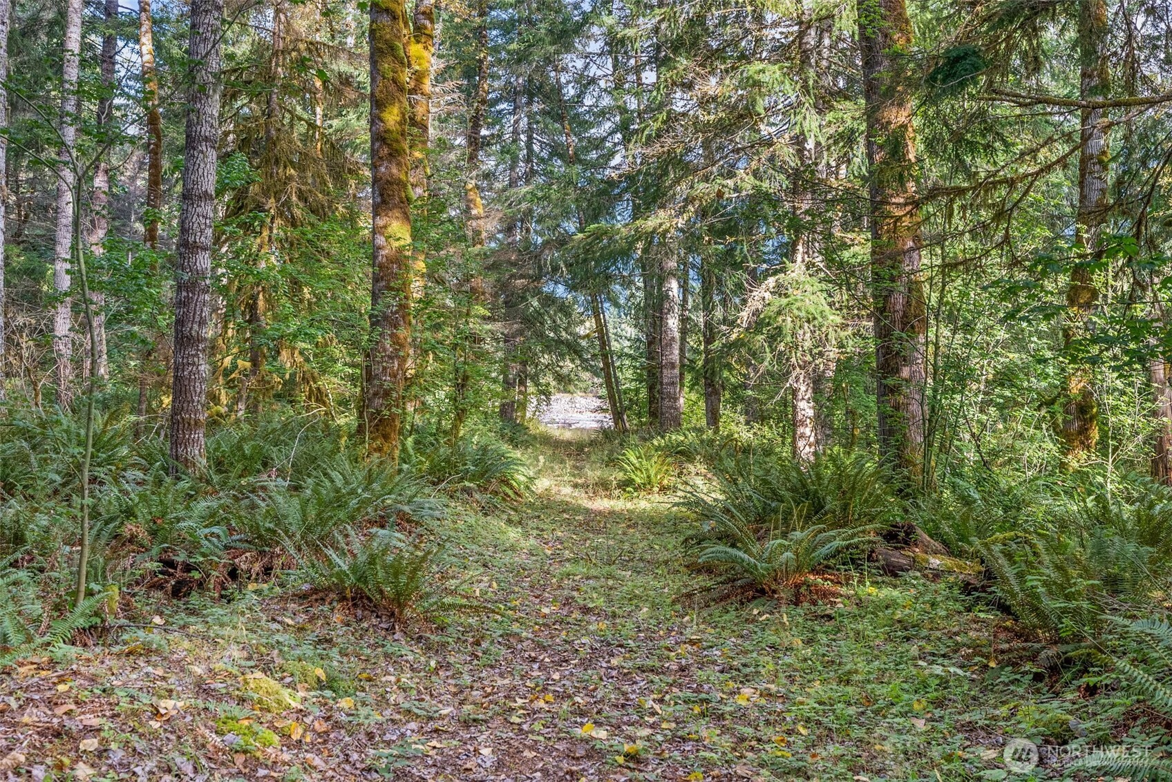 1 Skate Creek Road Property Photo 26