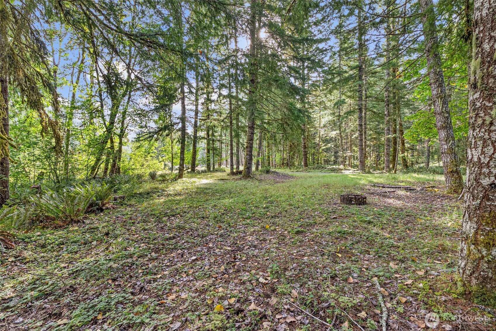 1 Skate Creek Road Property Photo 27