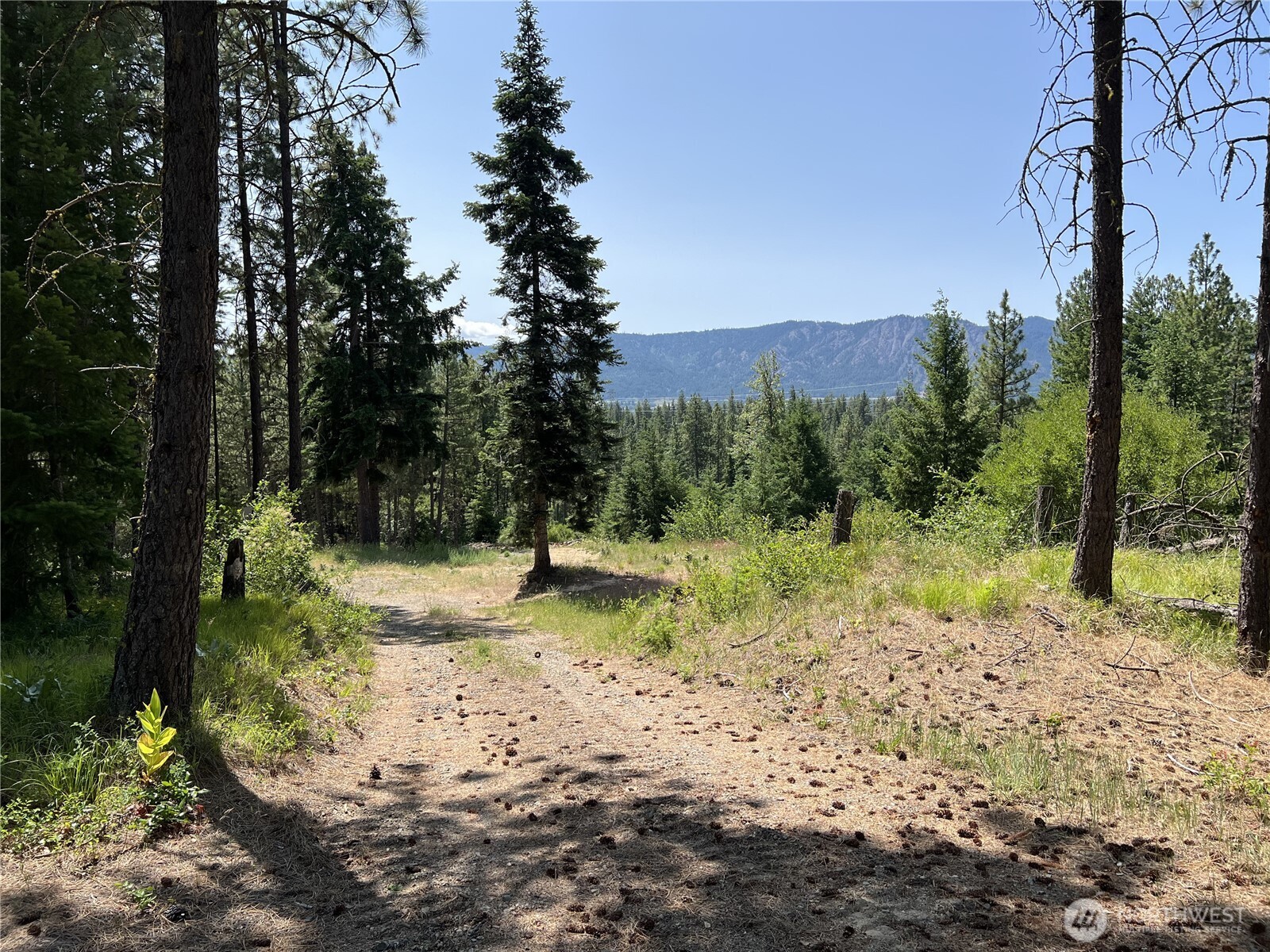 1571 Summit View Road Property Photo 2