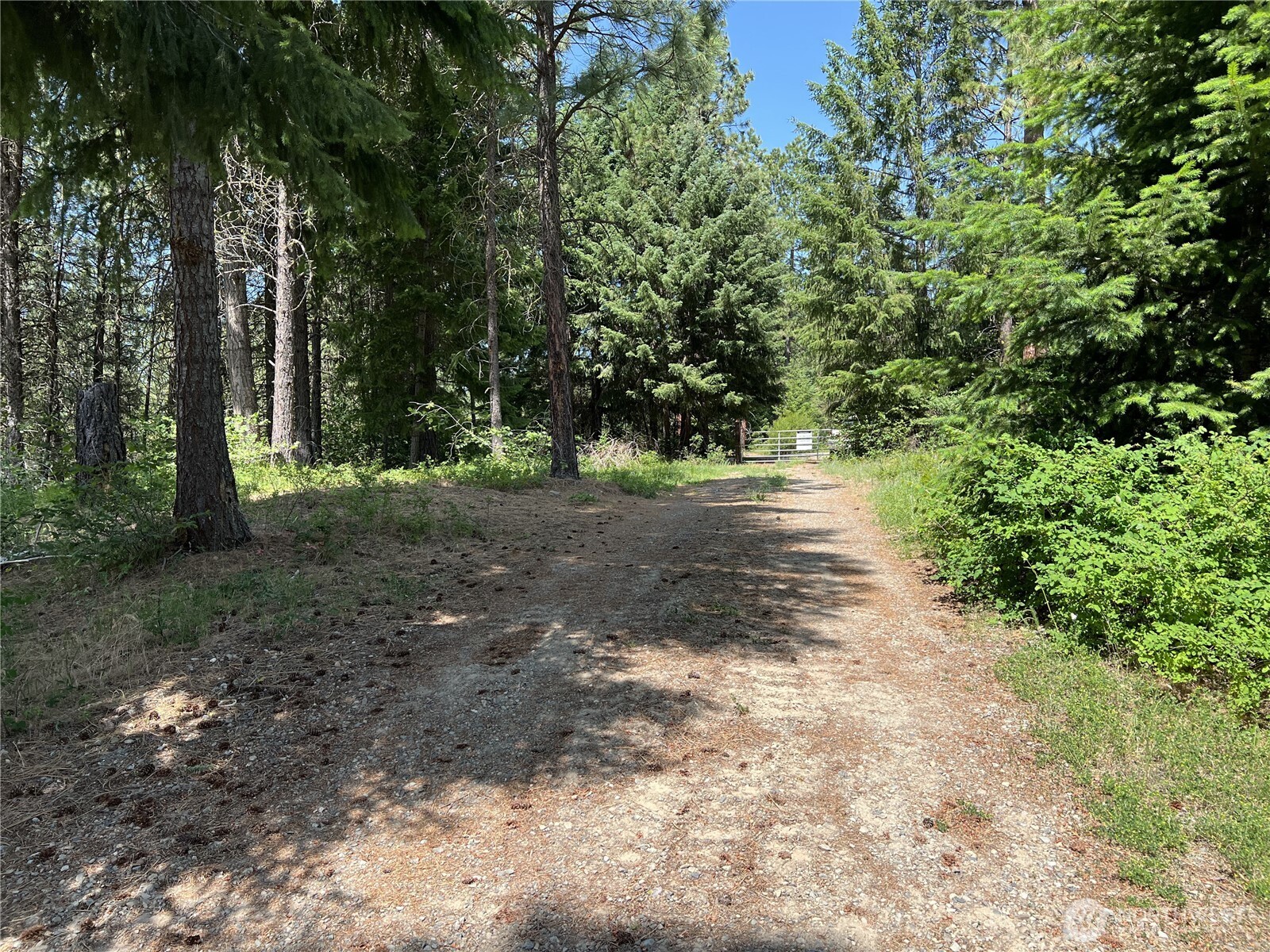 1571 Summit View Road Property Photo 3