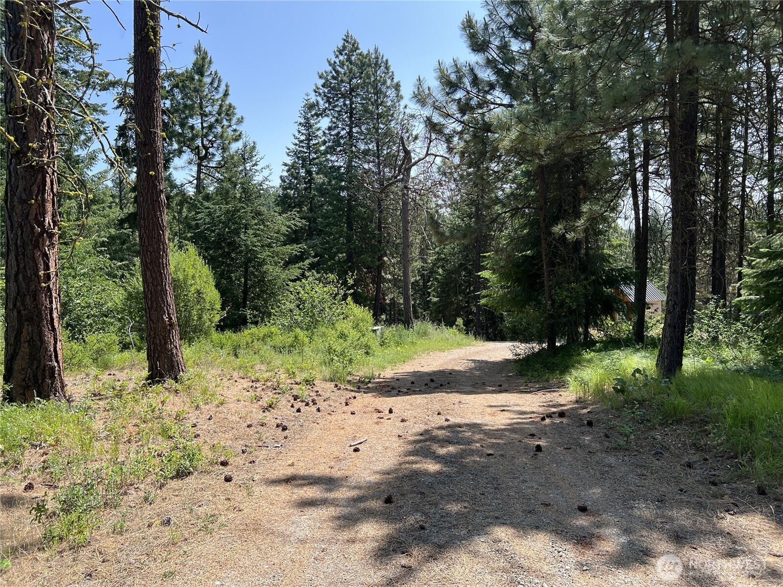 1571 Summit View Road Property Photo 4