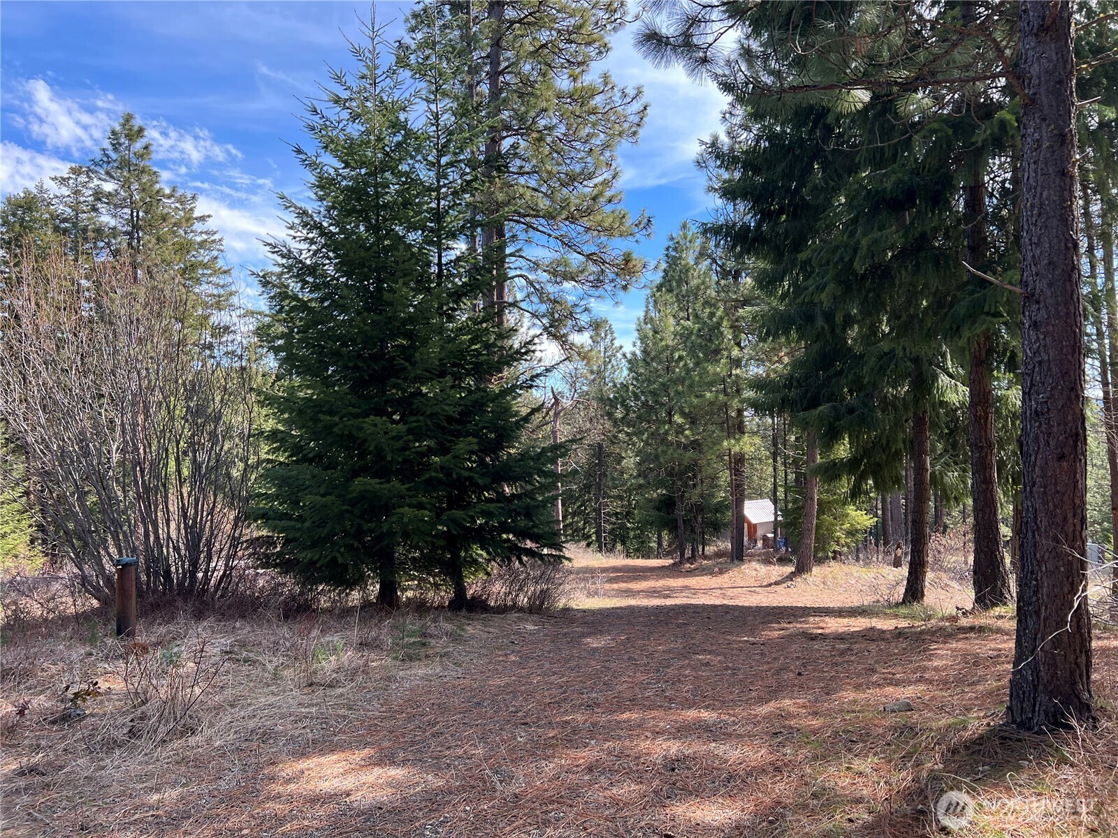 1571 Summit View Road Property Photo 6