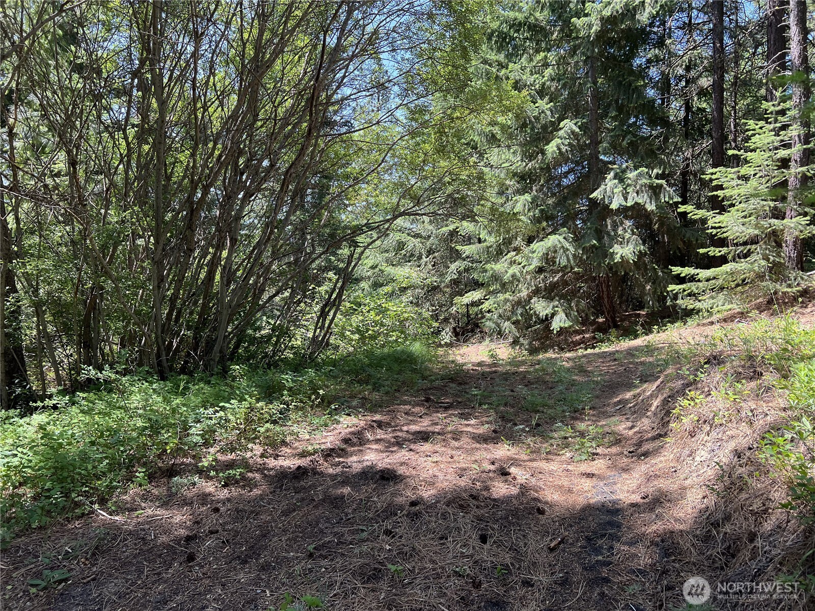 1571 Summit View Road Property Photo 16