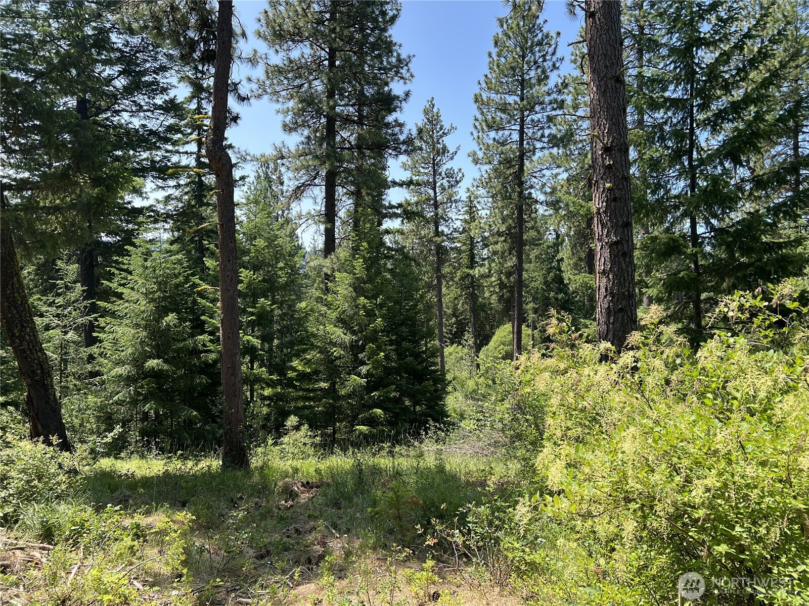 1571 Summit View Road Property Photo 17