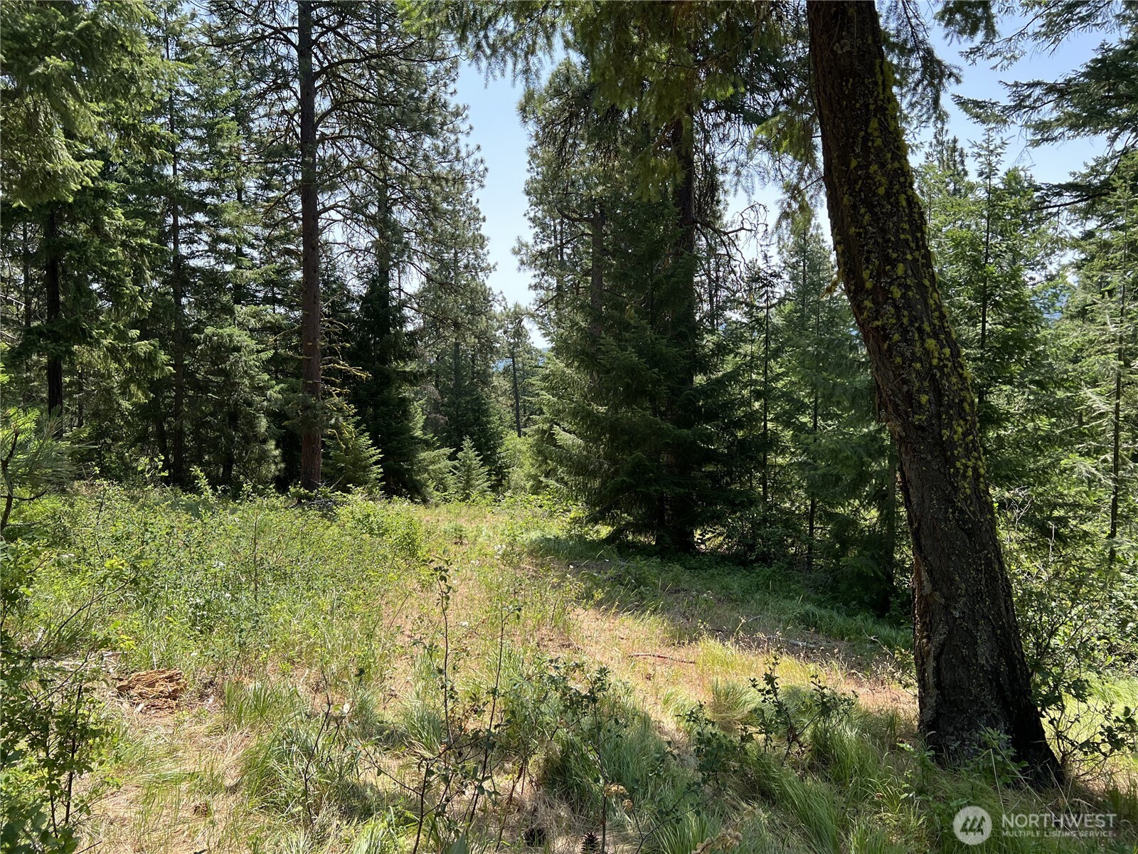 1571 Summit View Road Property Photo 18