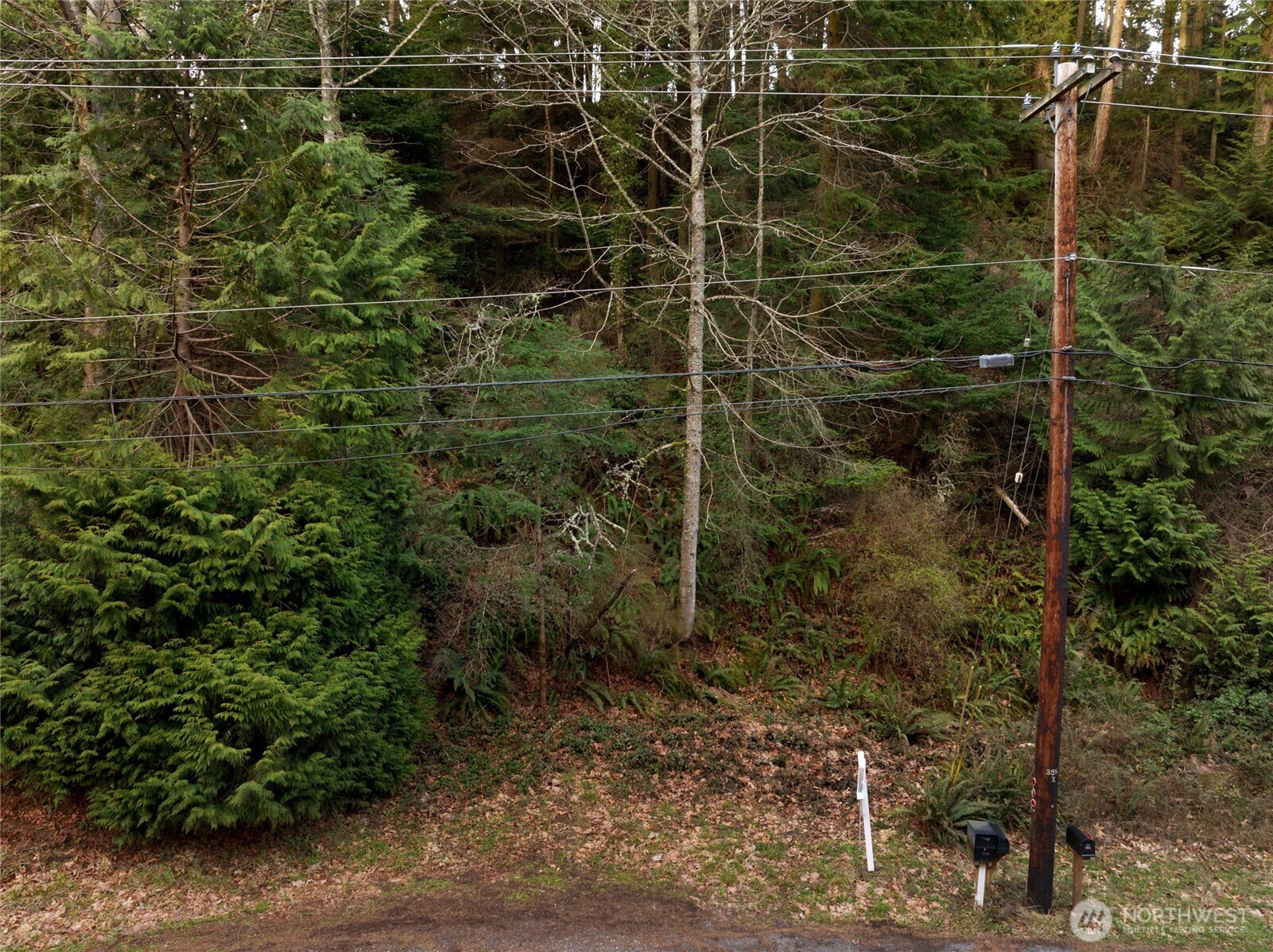 27 Xx S Camano Drive Property Photo 6