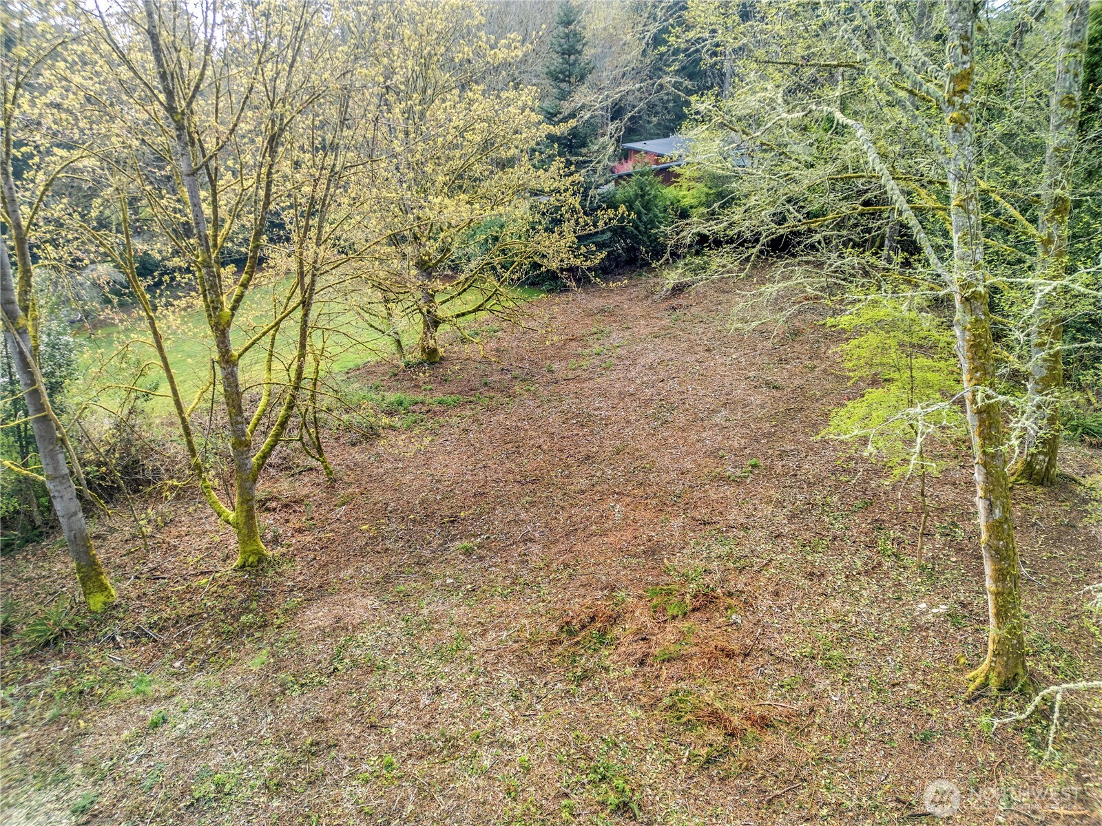 9811 Ne Rose Trail Lane Property Photo 8