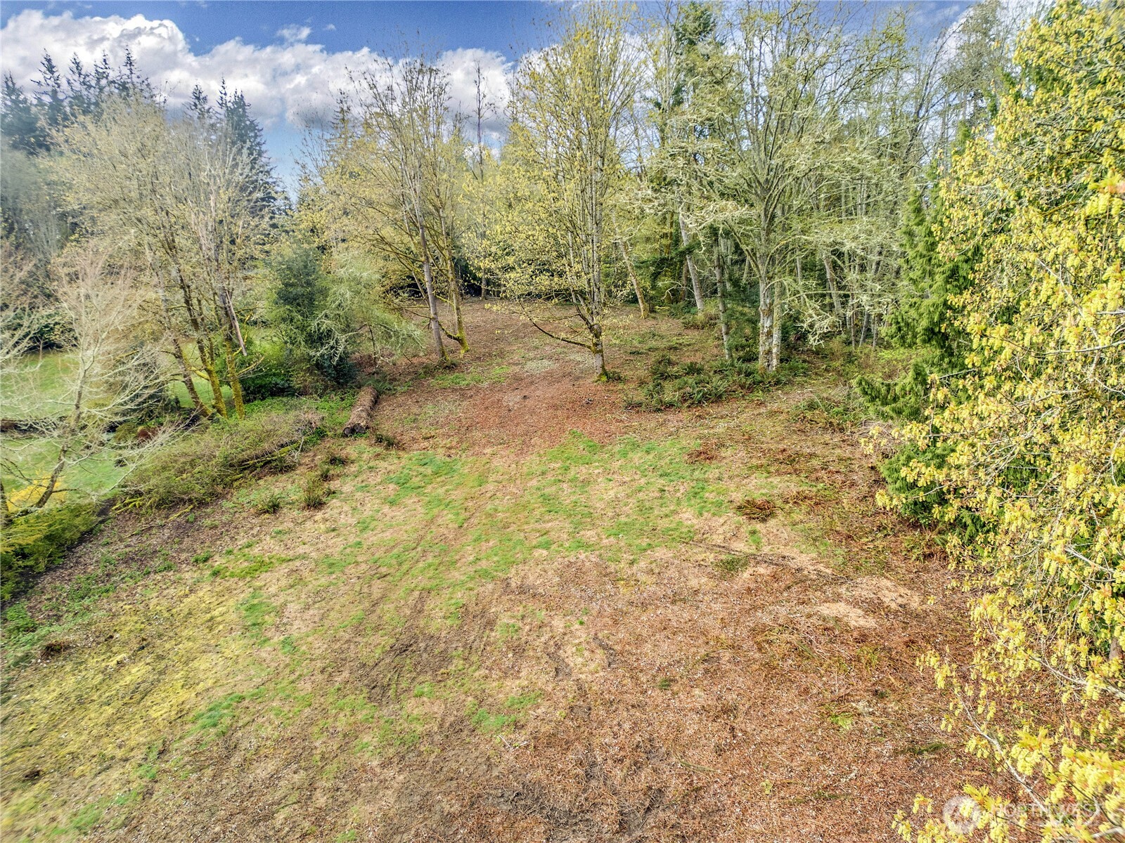 9811 Ne Rose Trail Lane Property Photo 10