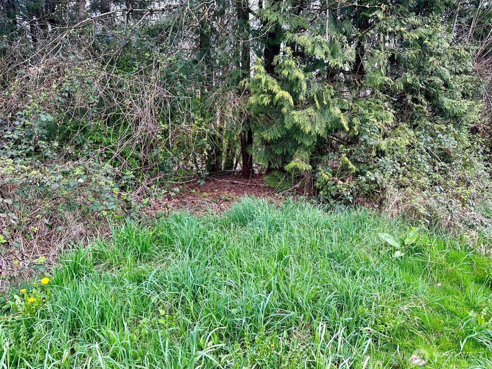 0 Xxx Gamble Bay Road Property Photo 12