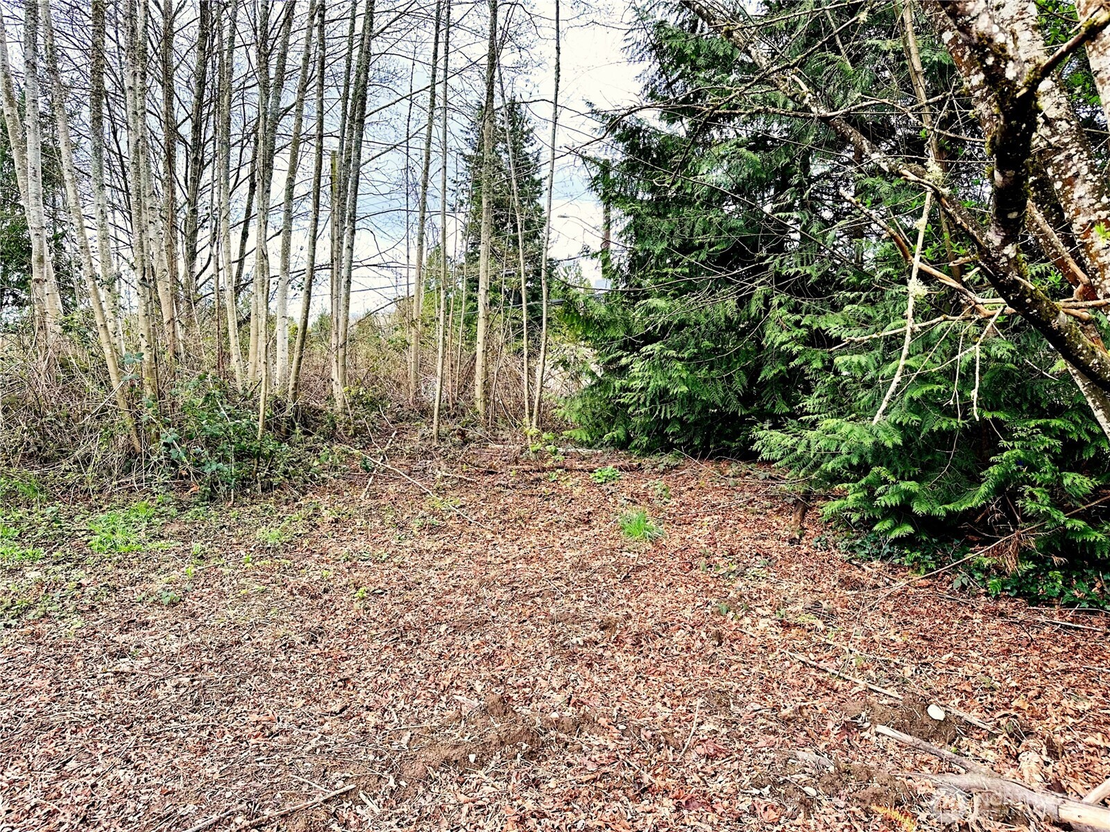 0 Xxx Gamble Bay Road Property Photo 14