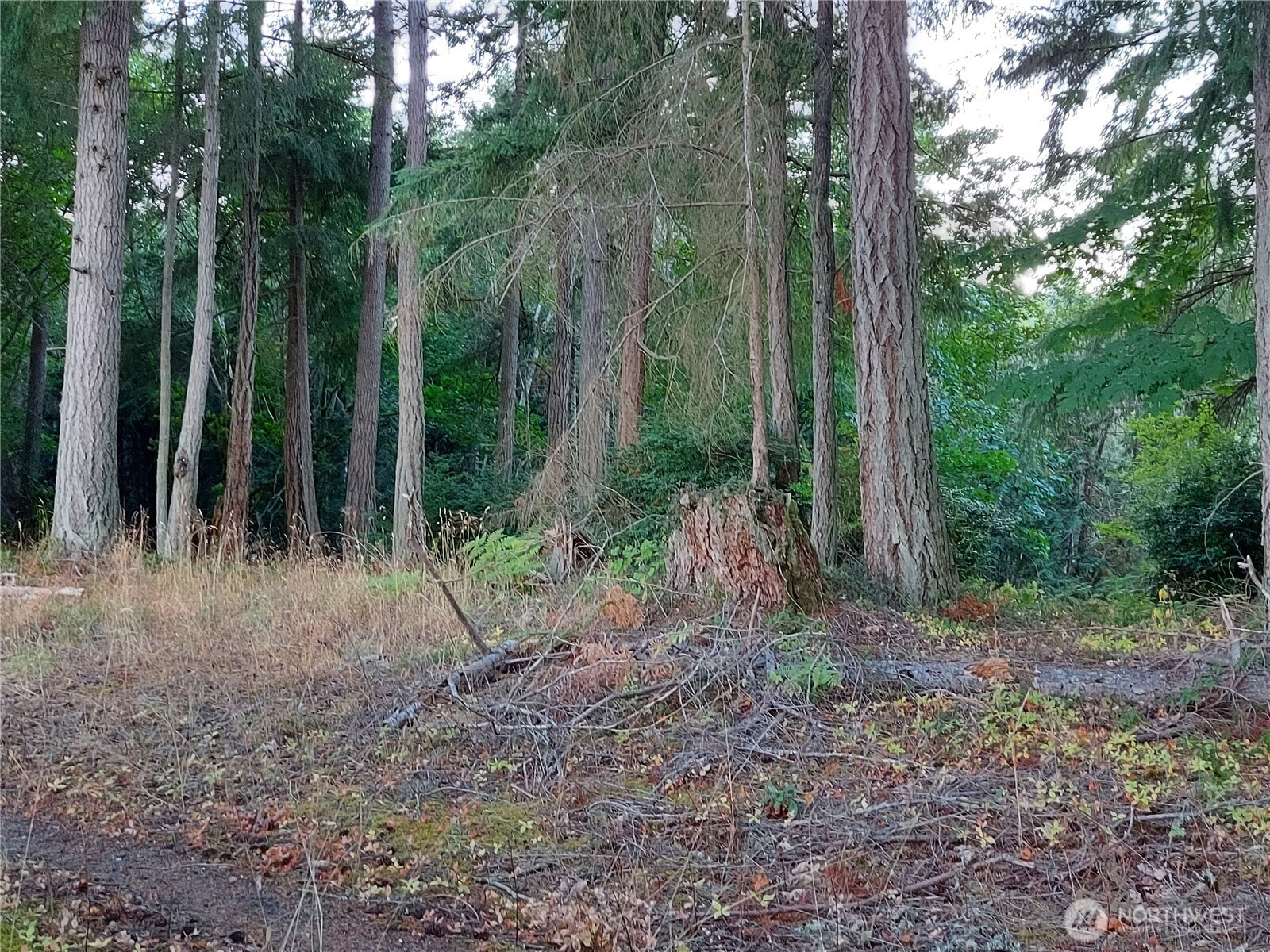 8213 159th Avenue Property Photo 13