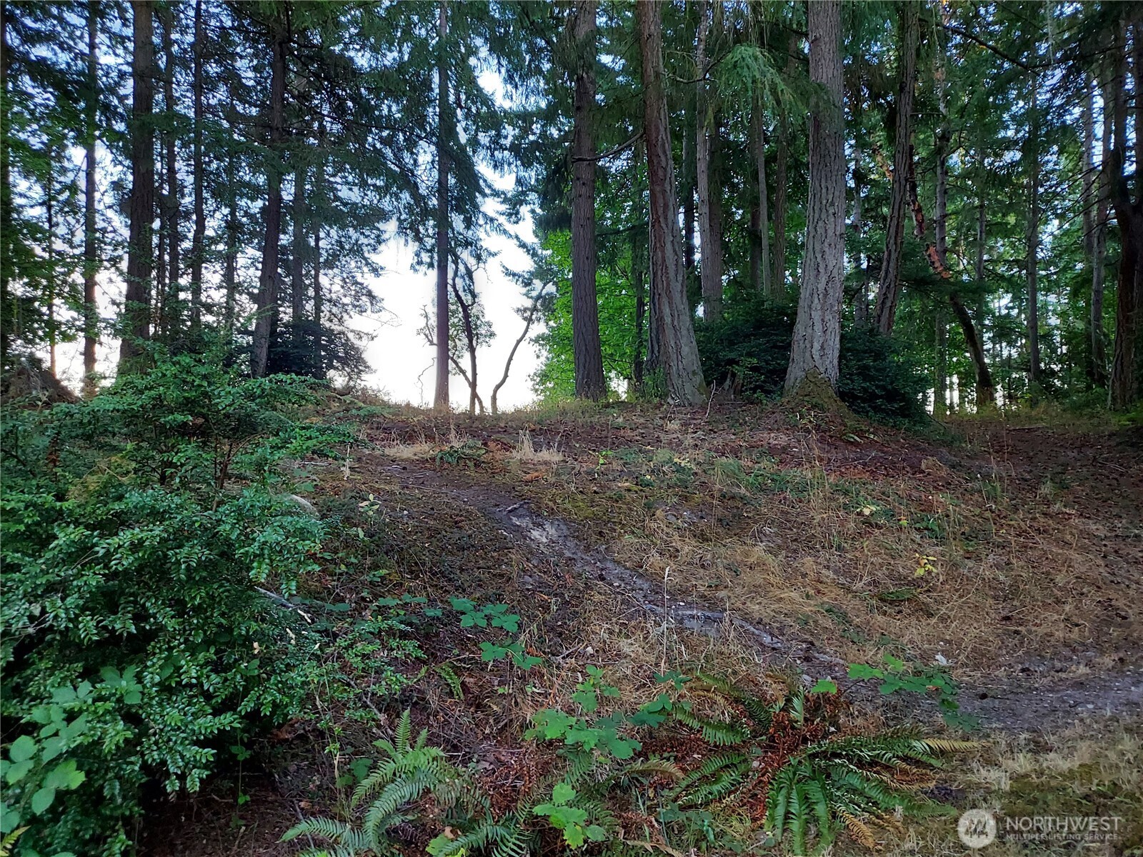8213 159th Avenue Property Photo 20