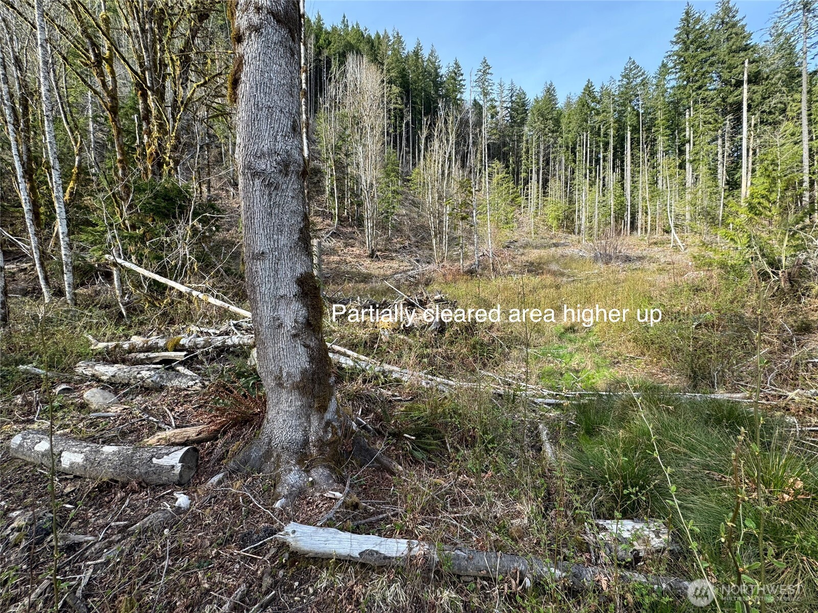 36411 324th Street Property Photo 9