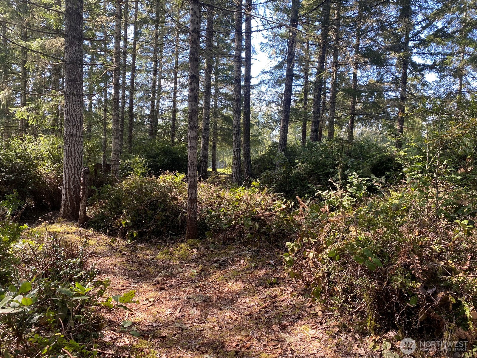 200 E Soderberg Road Property Photo 11