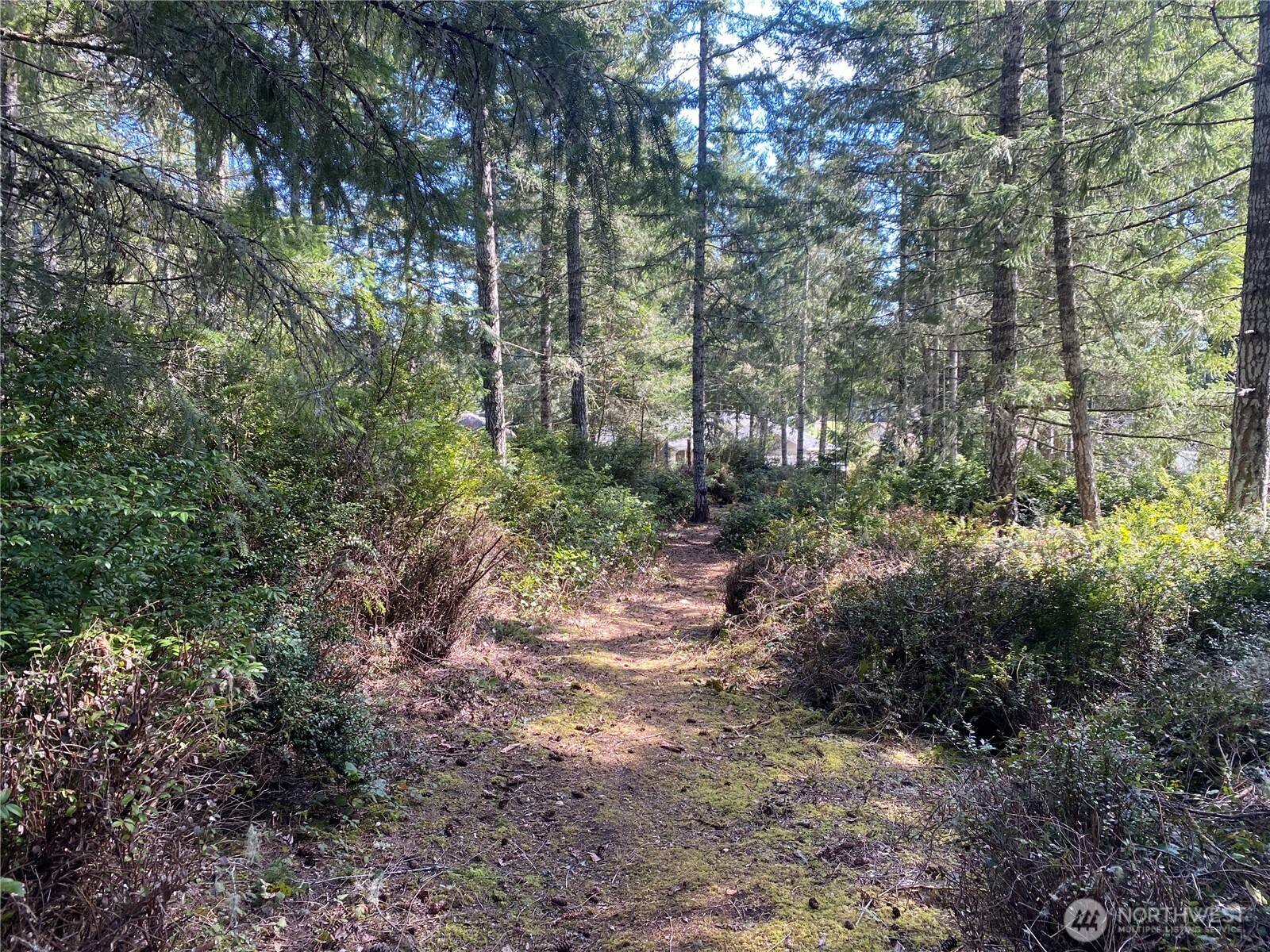 200 E Soderberg Road Property Photo 12
