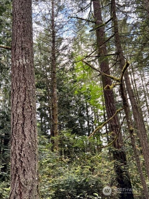 135 Nw Walker Road Property Photo 19