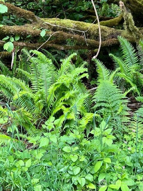 135 Nw Walker Road Property Photo 20