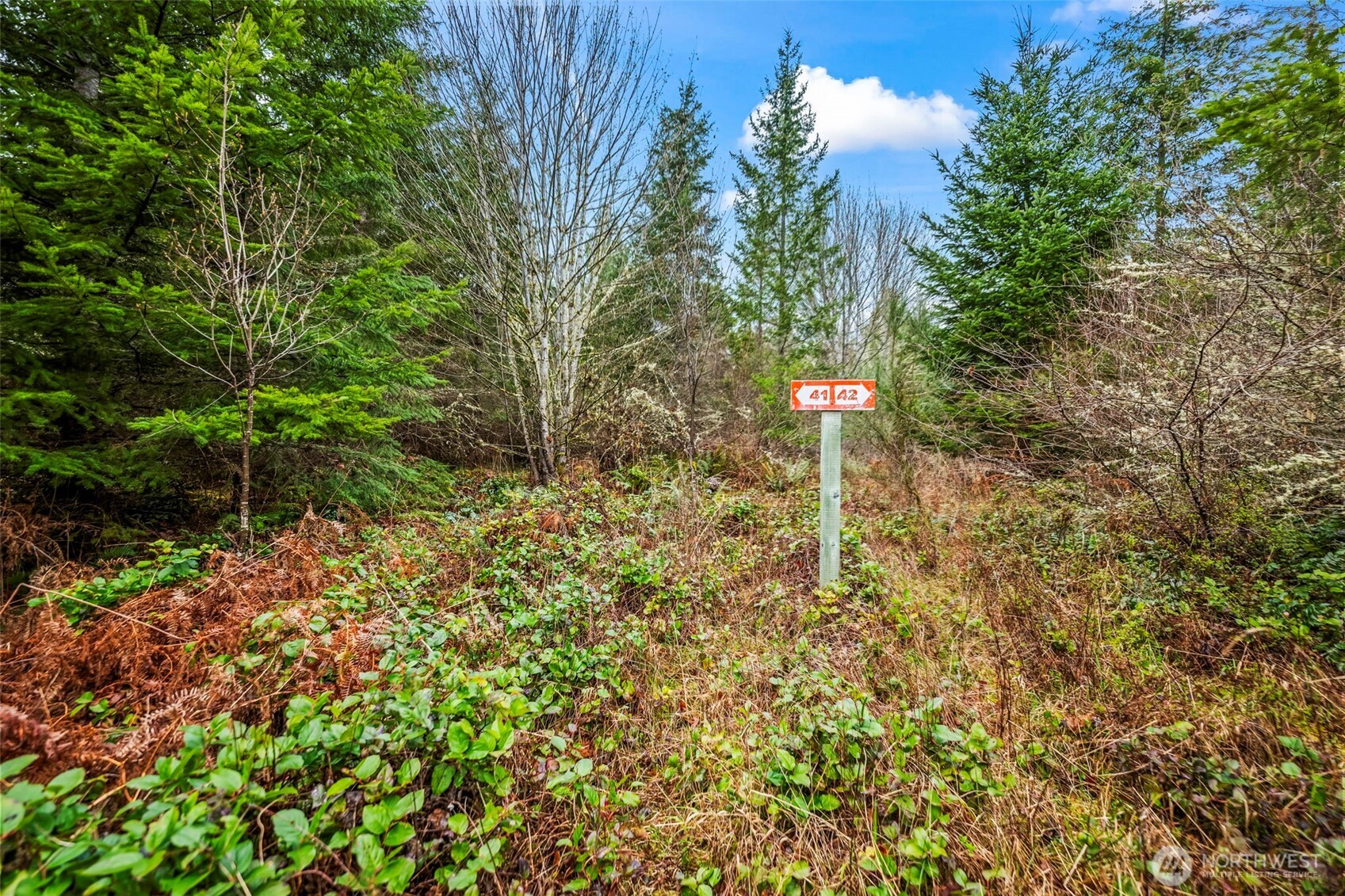 123 Highland Drive Property Photo 3