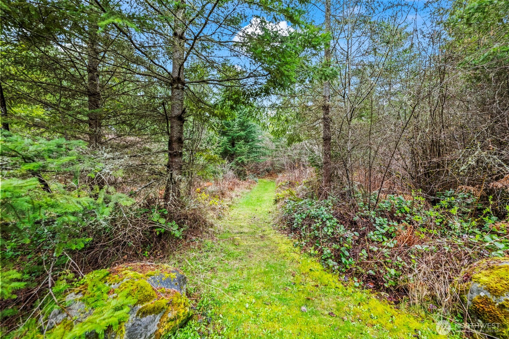 123 Highland Drive Property Photo 18