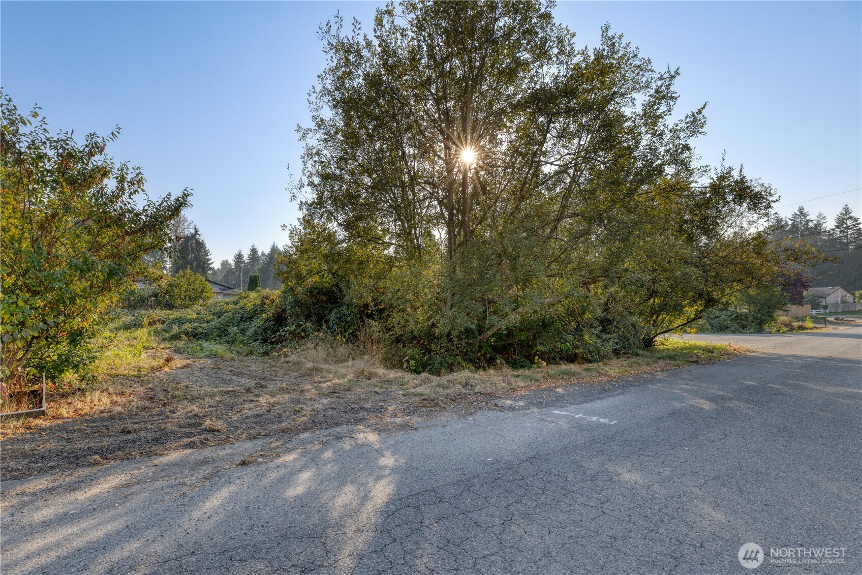 314 Xx 50th Avenue Property Photo 6