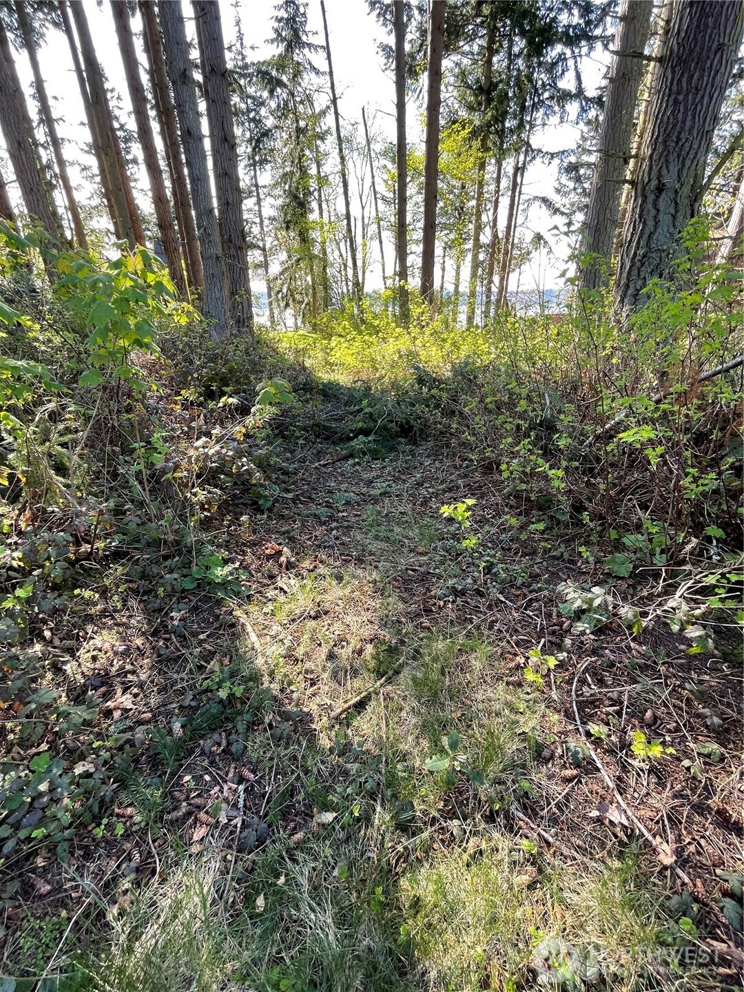 99 B Port Gardner Drive Property Photo 4