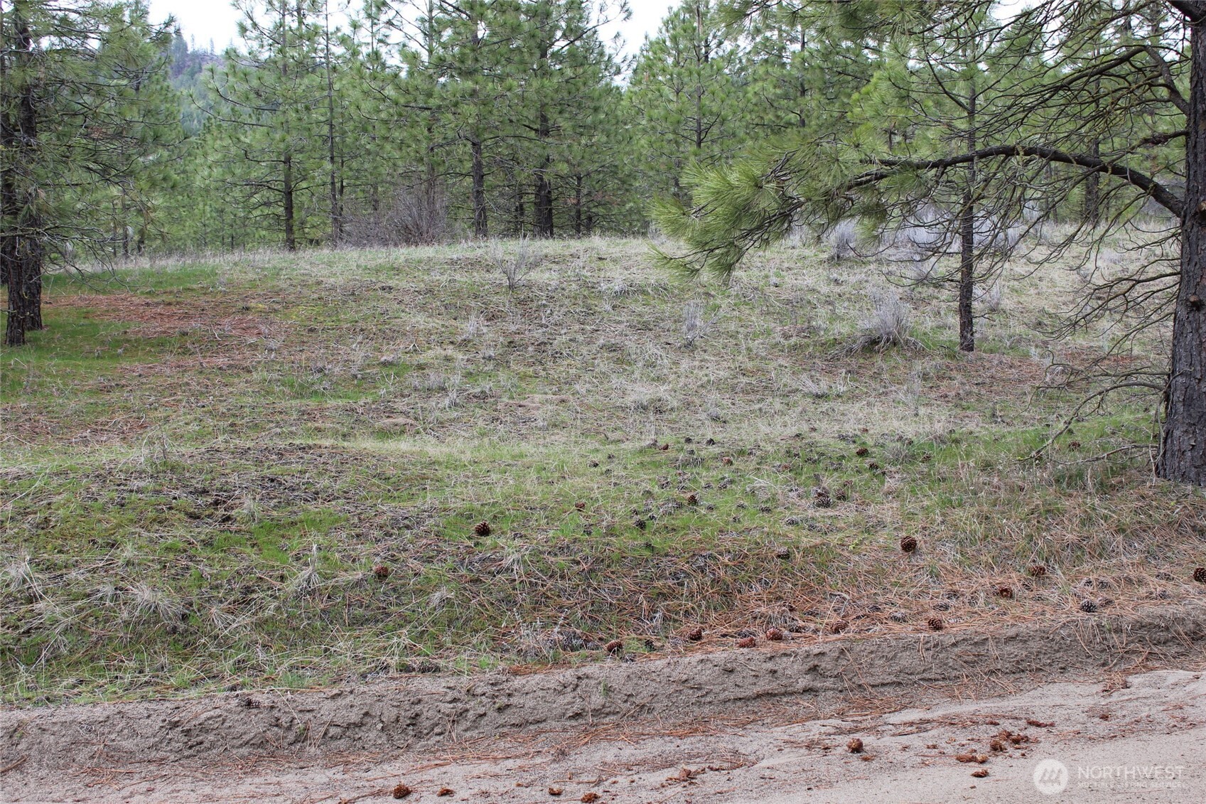 36435 Western Pines Drive Property Photo