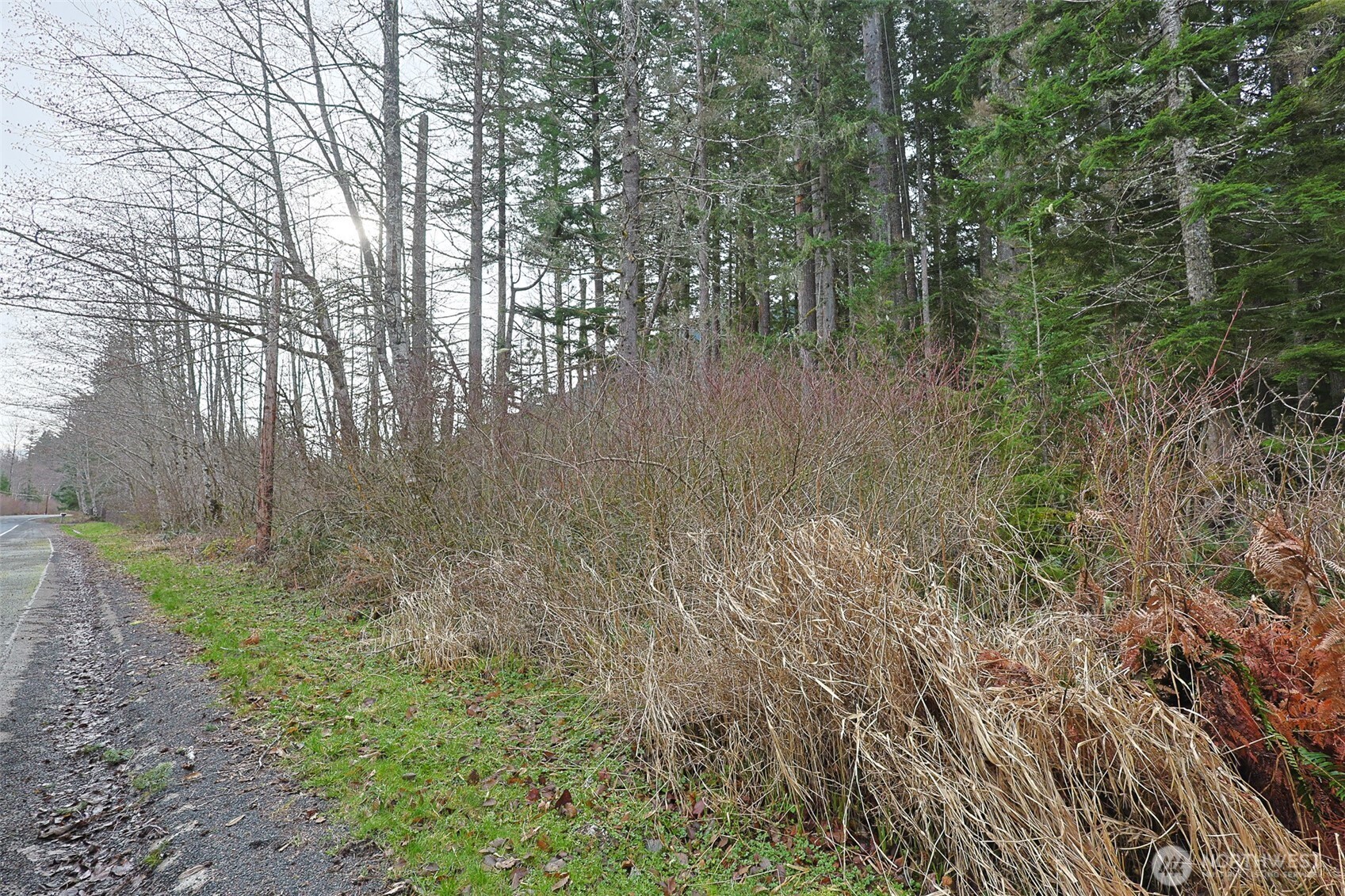 0 Skate Creek Road Property Photo 2
