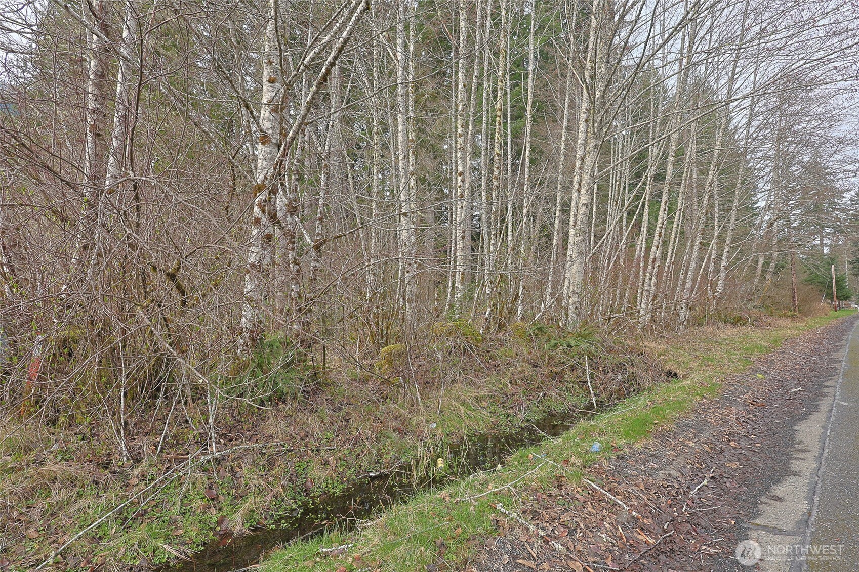 0 Skate Creek Road Property Photo 3